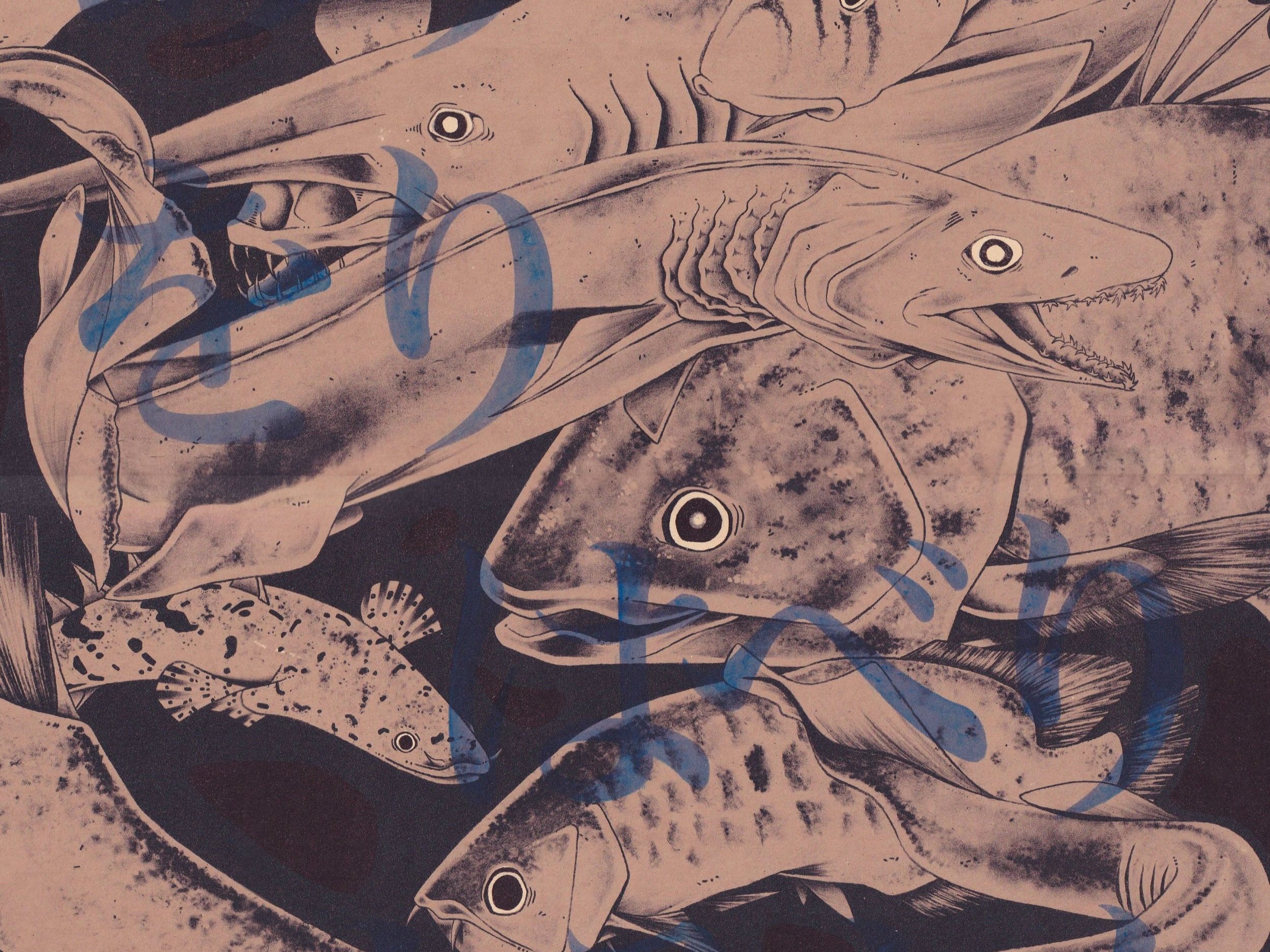 Living Fossils