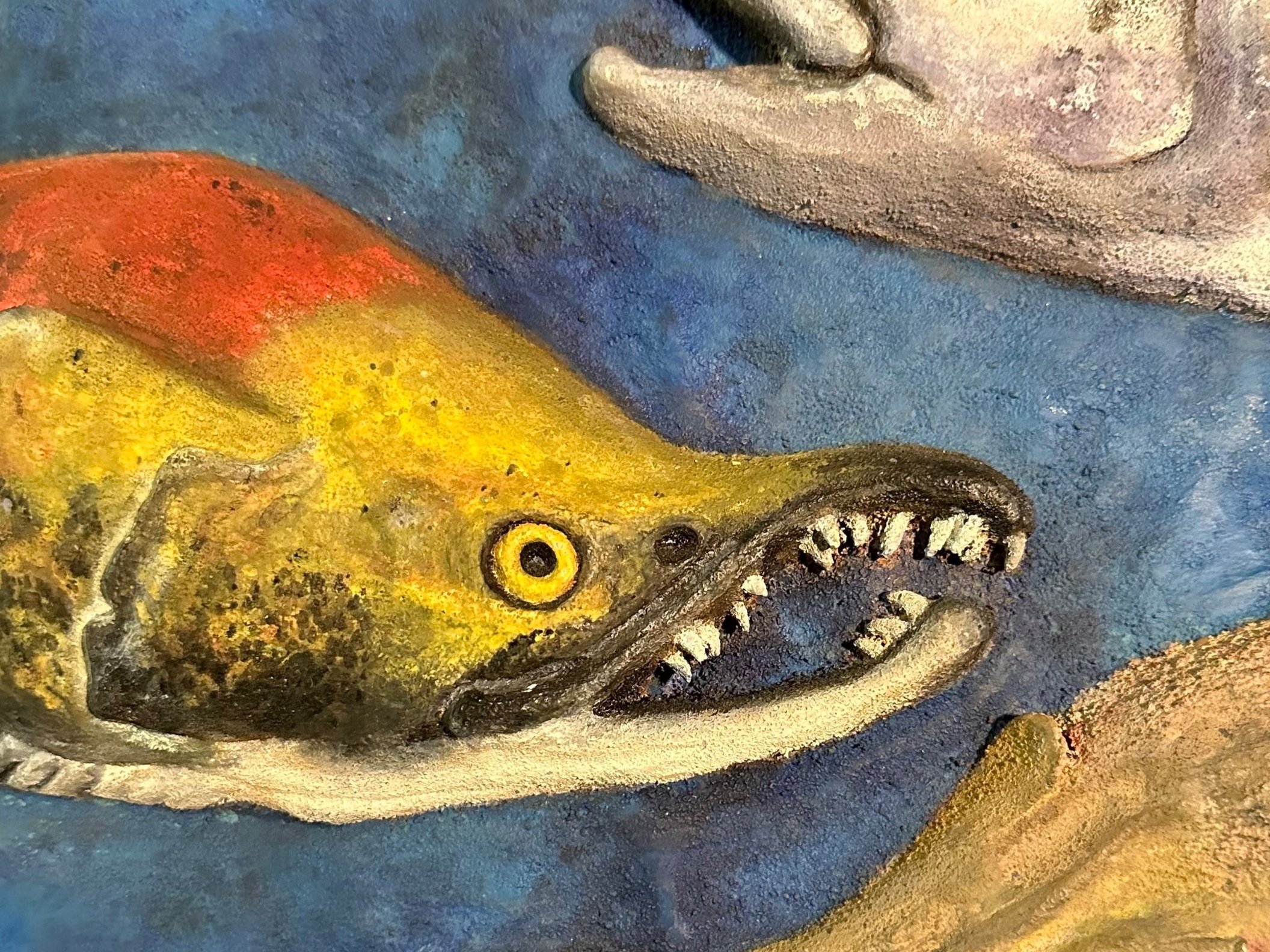 Spawning Salmon