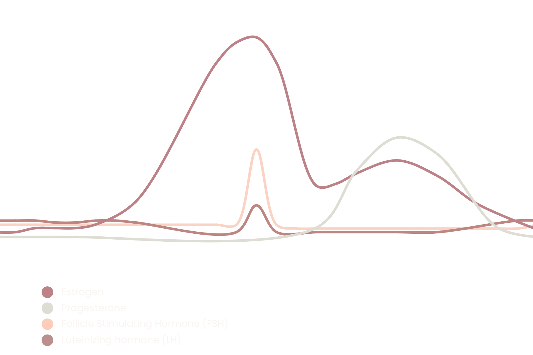 The Menstrual Cycle & Hormones - A Physiological Perspective — Femai
