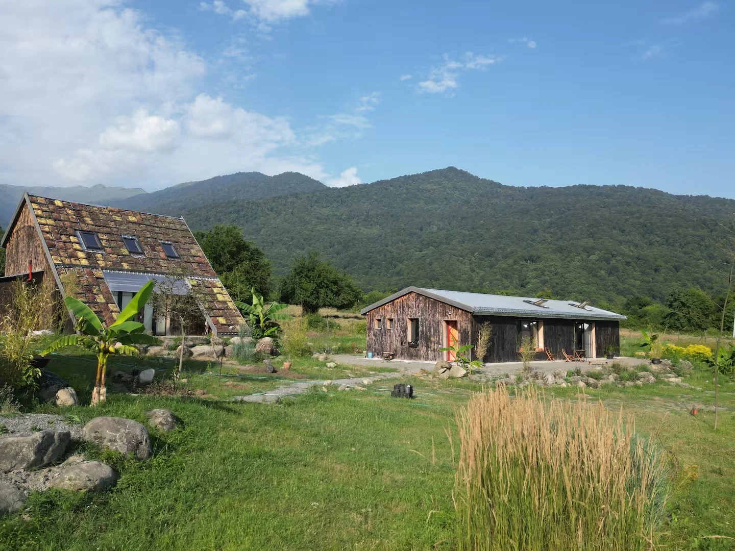 7bf1043f-12b8-4e83-a1f9-d326f7702f09 2.jpeg