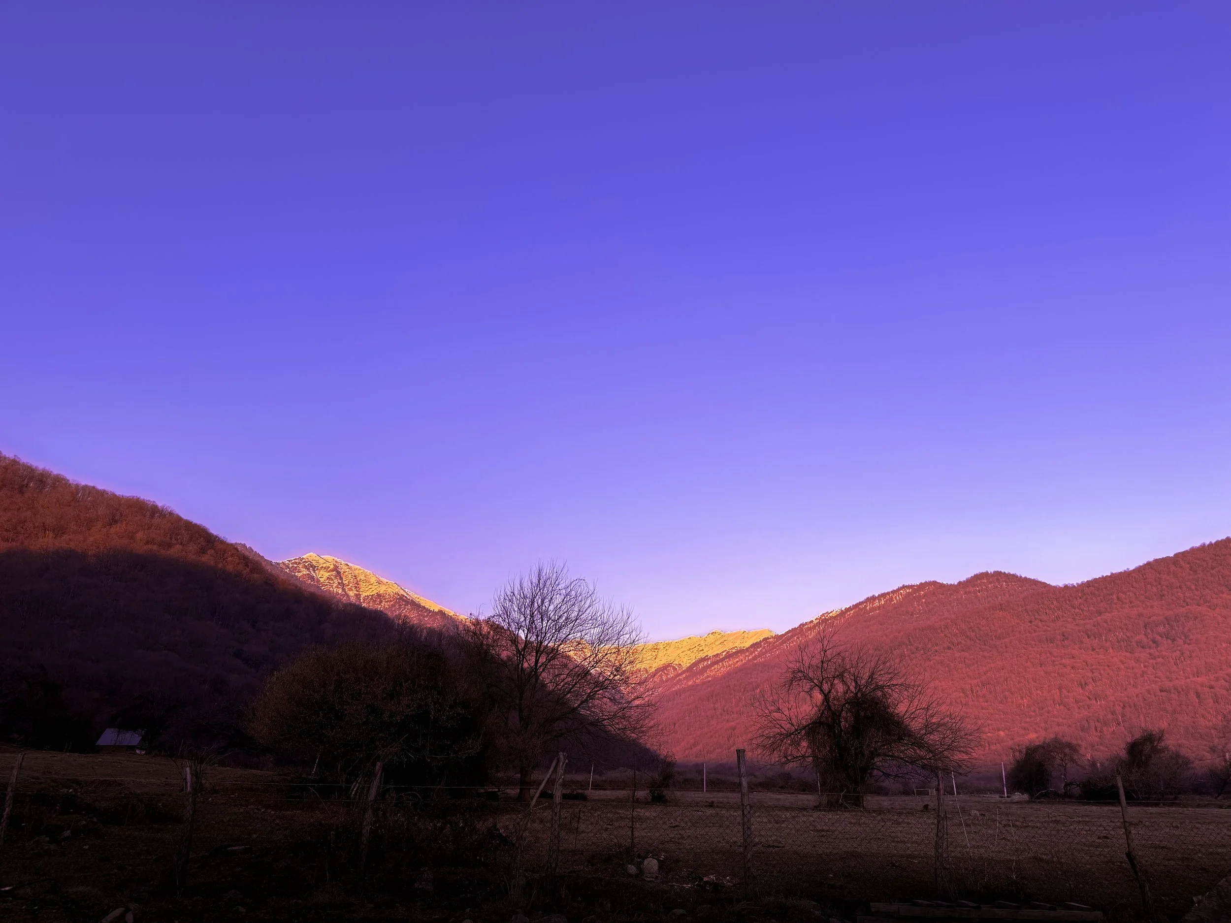 IMG_1798 copy.jpg