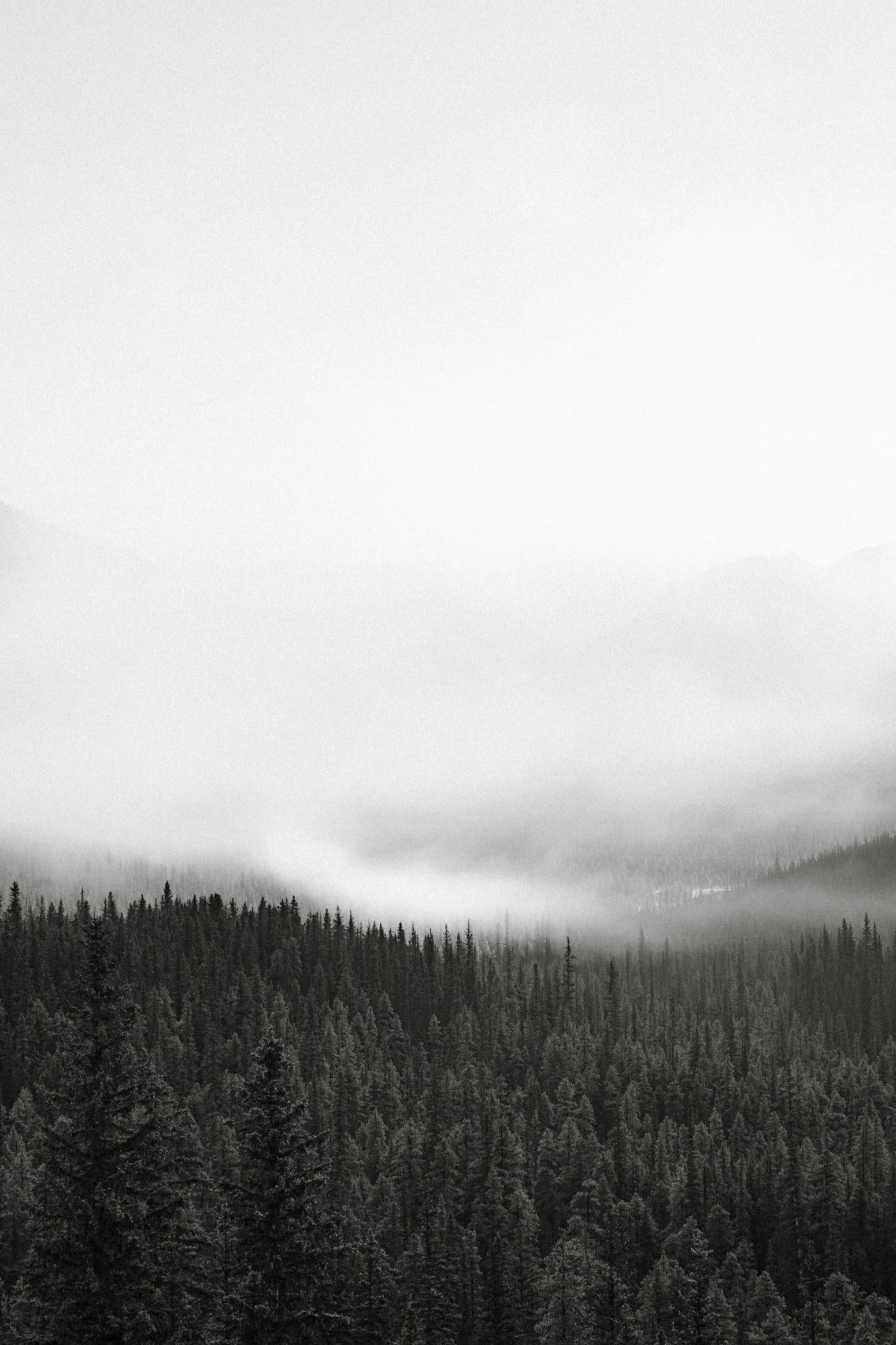 Therapy in English Prague, english speaking therapist, online