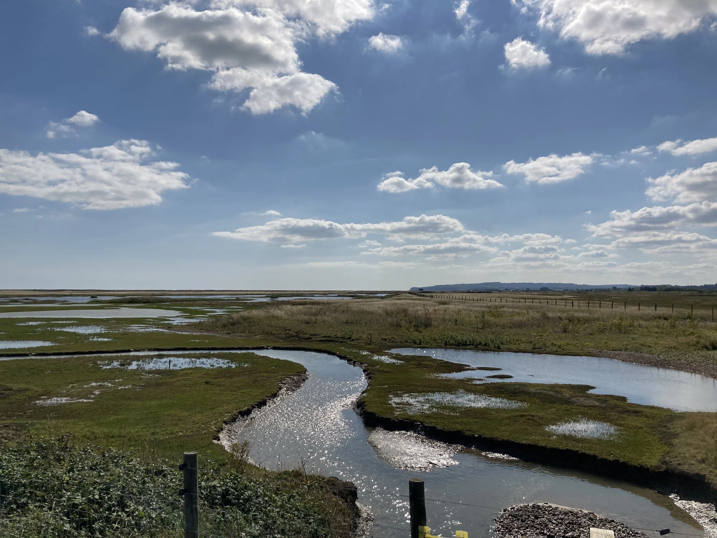 Rye Harbour Nature reserve