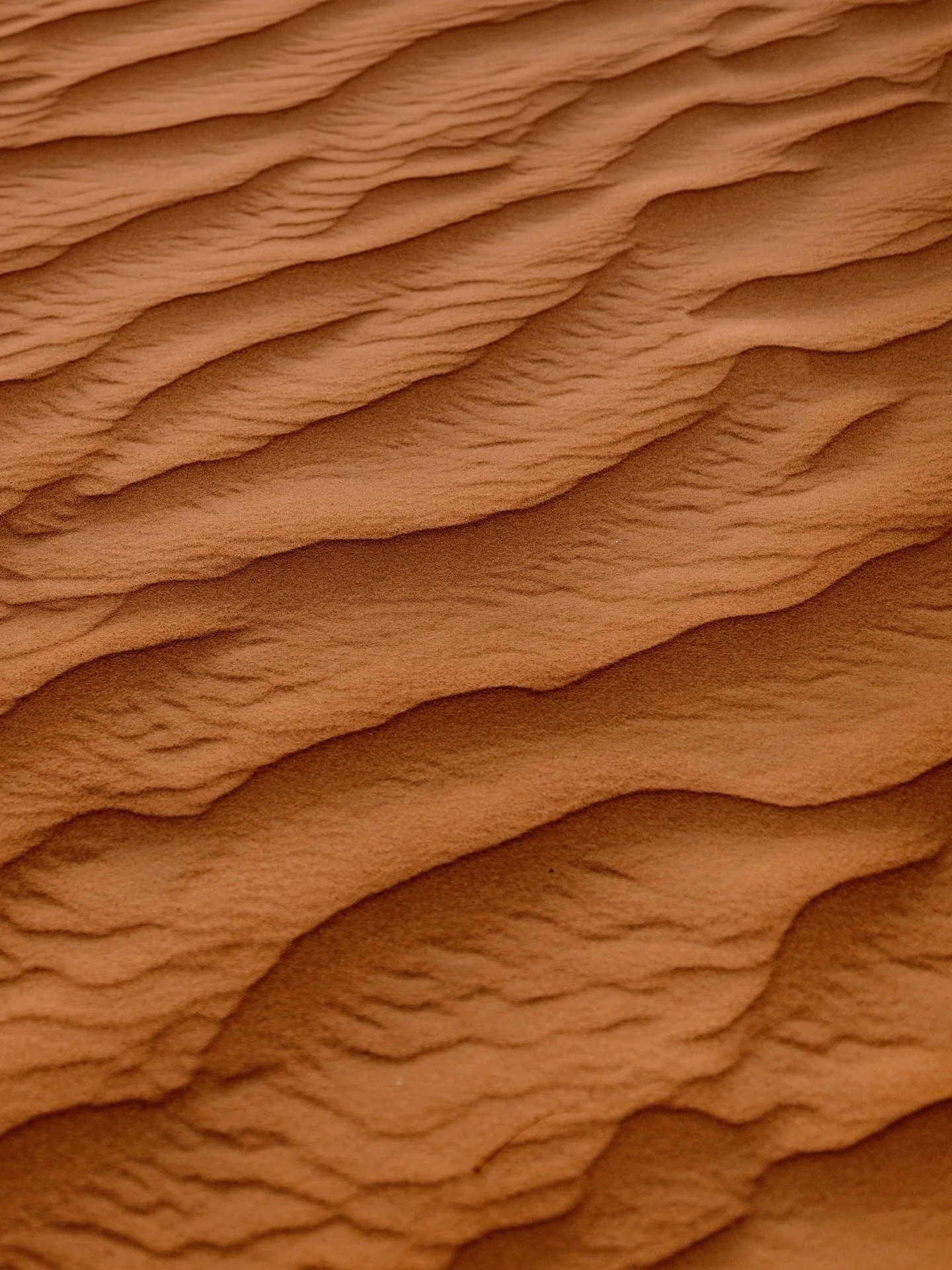 Somatic Coaching for Women: How Your Nervous System Shapes Your Life