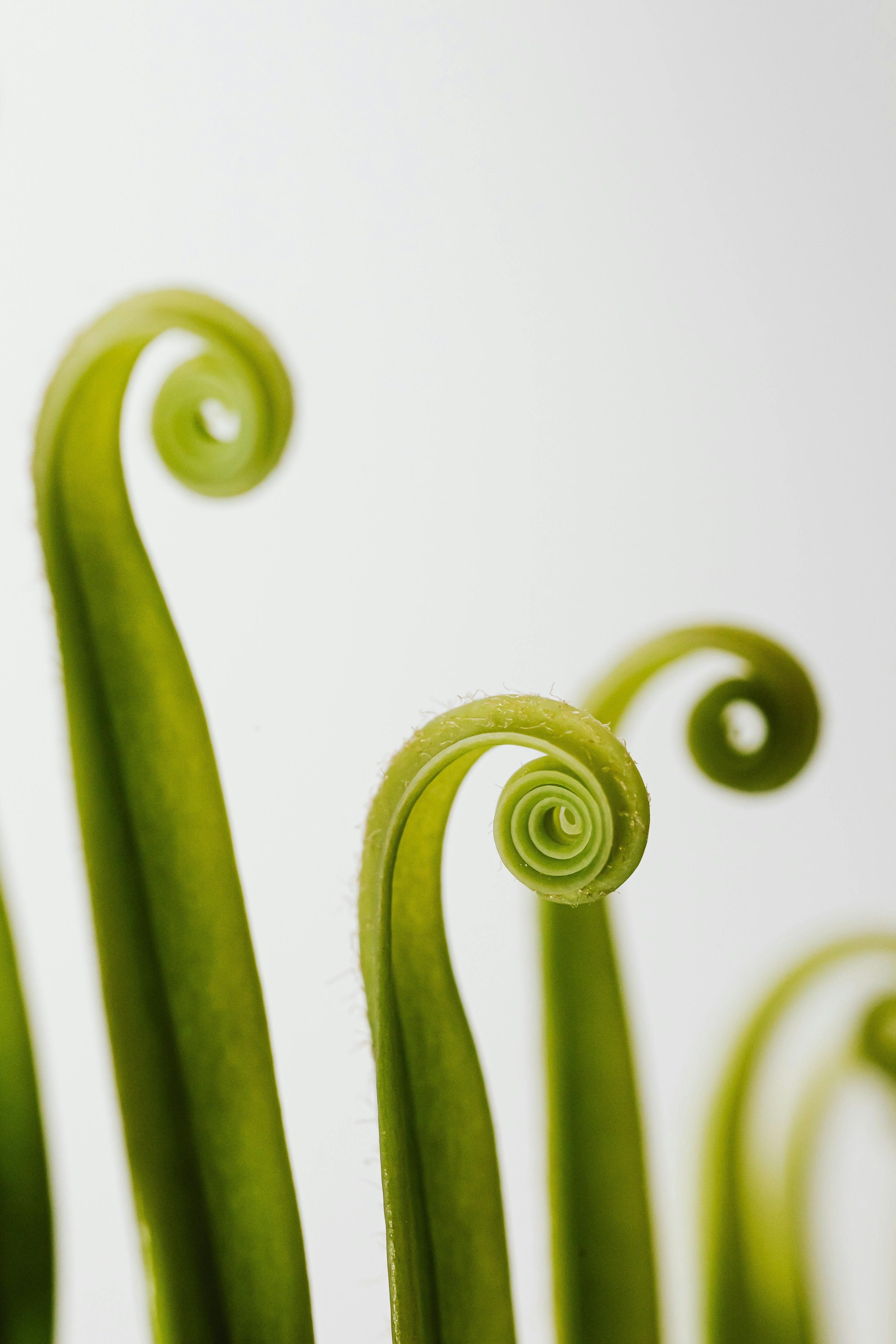 Your Body Is the Most Underutilized Leadership Tool You Have