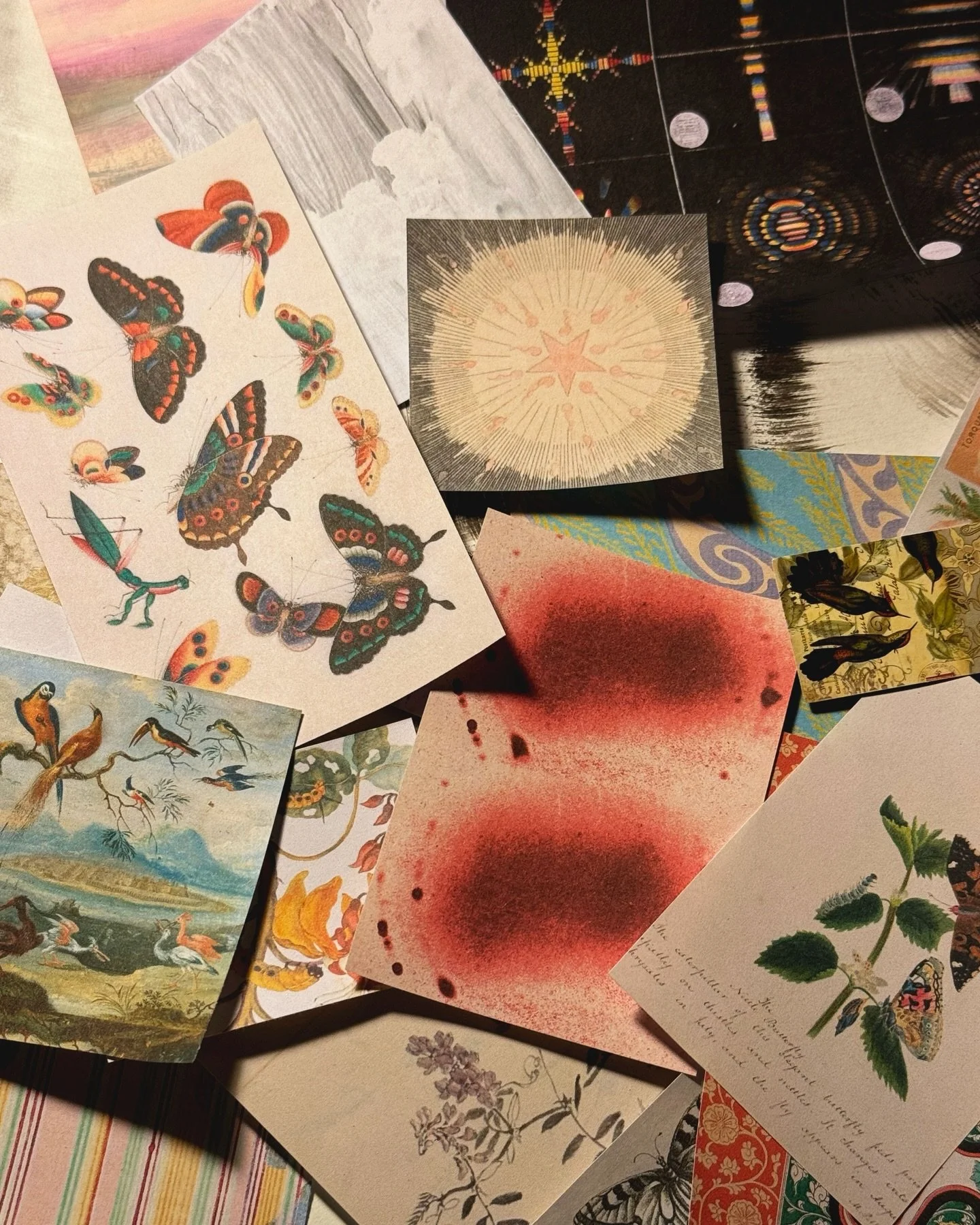 Our &lsquo;Metamorphosis Creative Embodiment Guide&rsquo; explores therapeutic art-making activities and embodied wellbeing practices, as a way to unfold journeys of transformation (find link in bio) ⋆.ೃ࿔*:･  
Across 44 pages, the printed guide explo