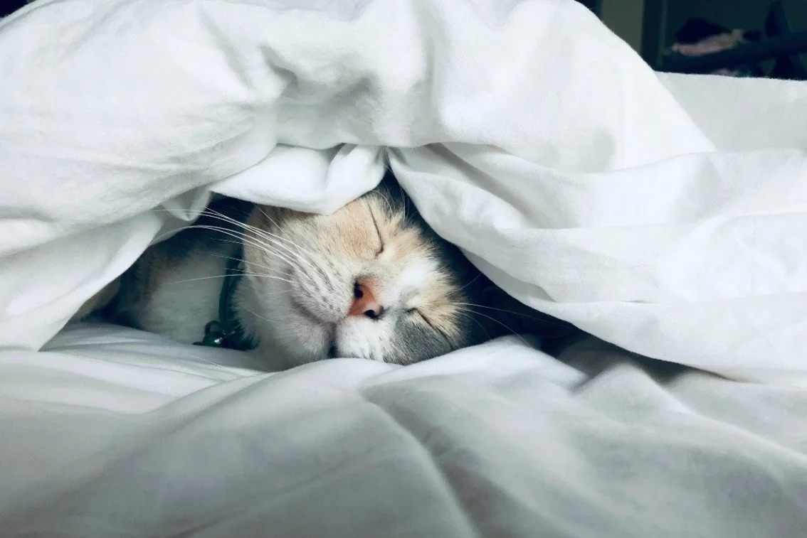 Sleep better: delay your bedtime!