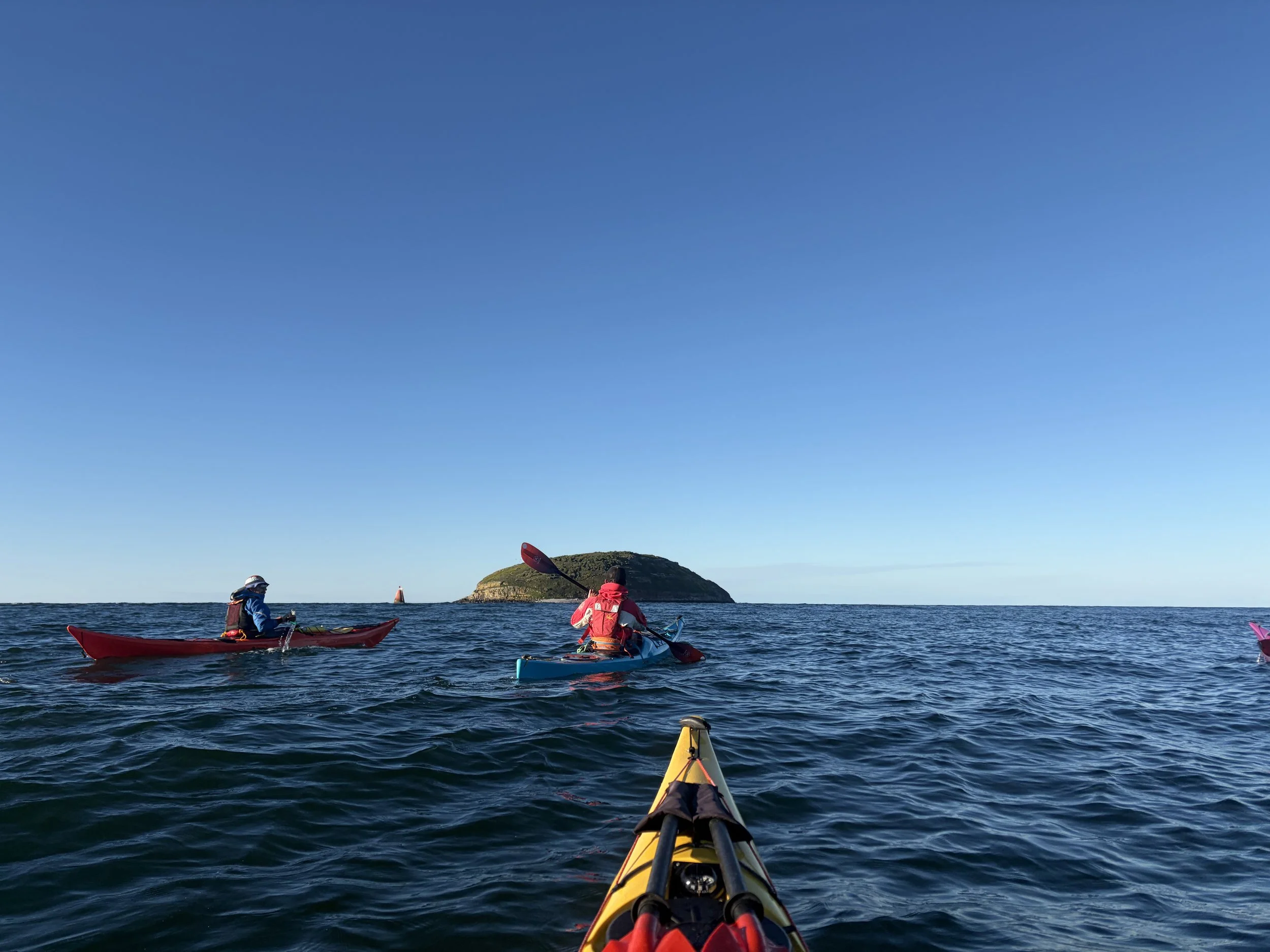 puffin island sea kayaking anglesey