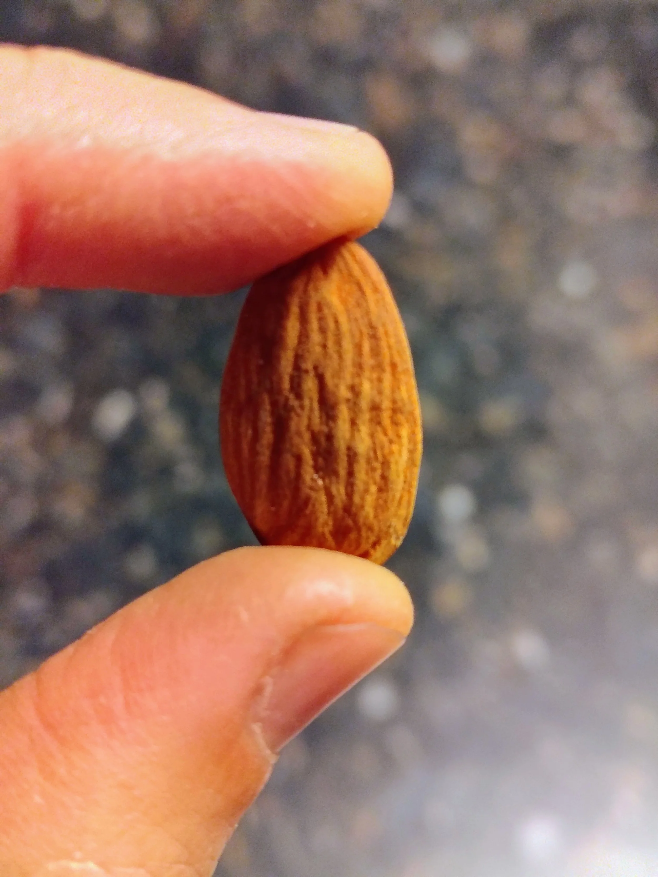 Almond.jpg