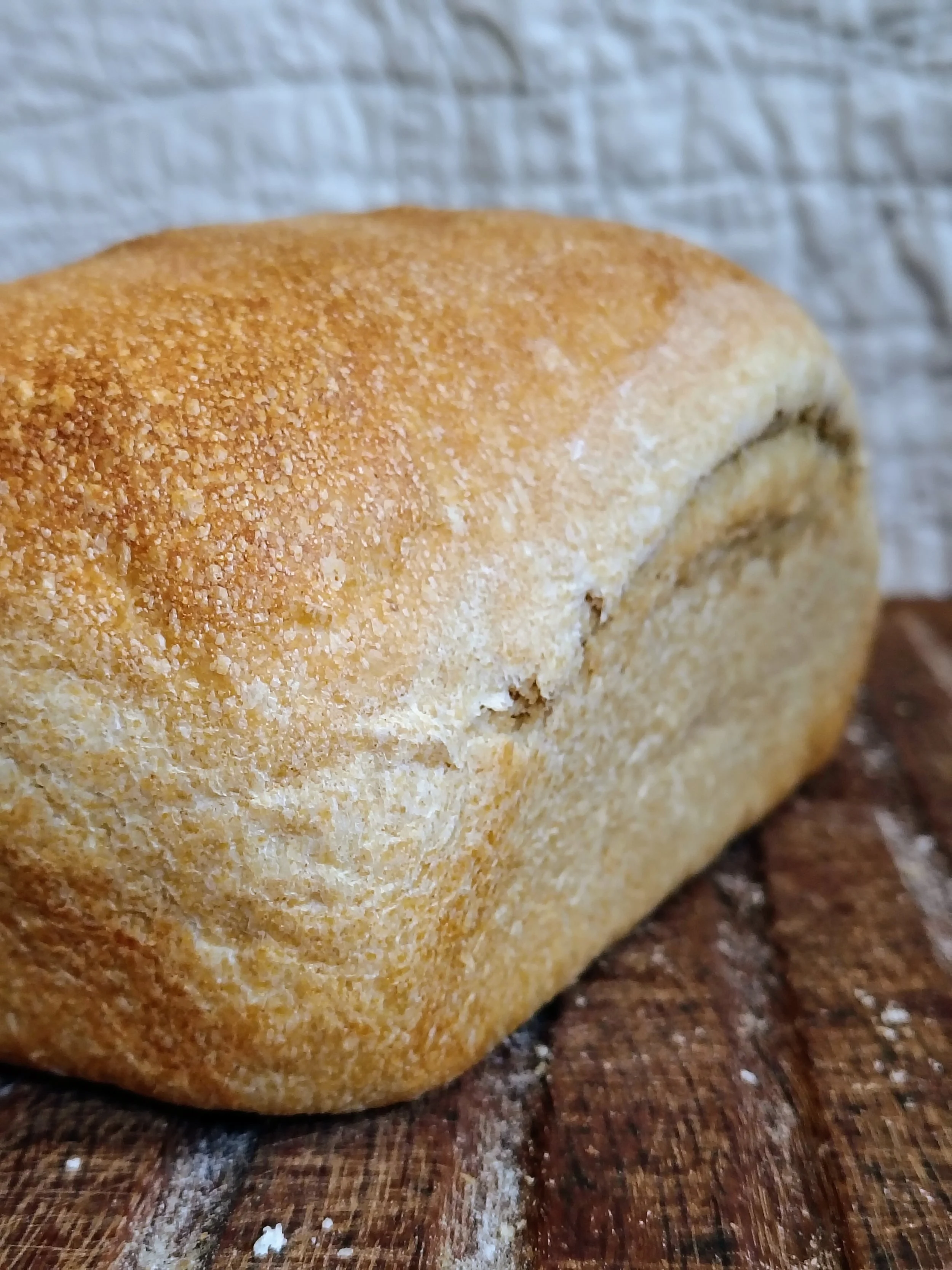 Whole Wheat loaf.jpg