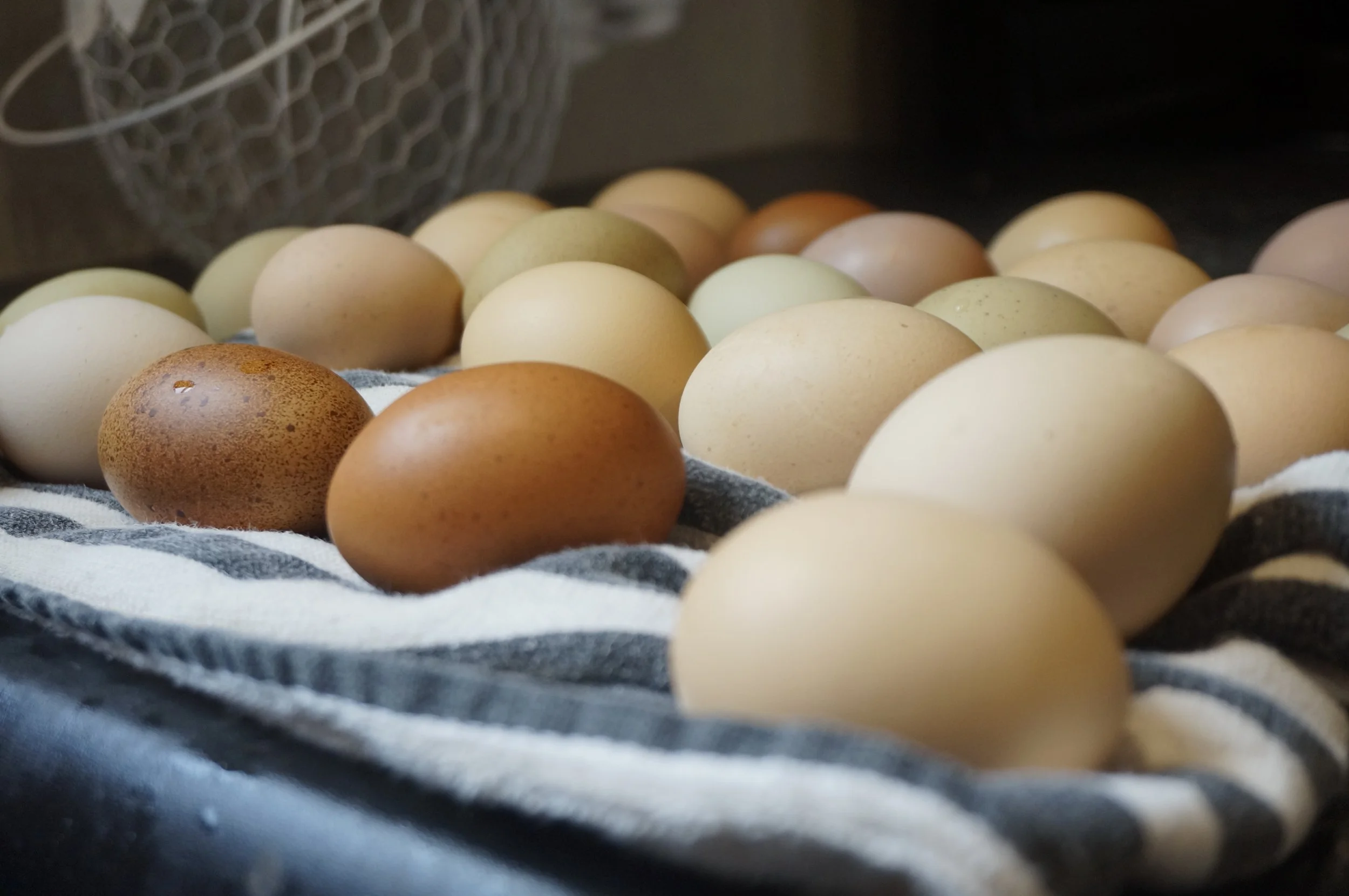 Eggs are a healthy option for quick meals.