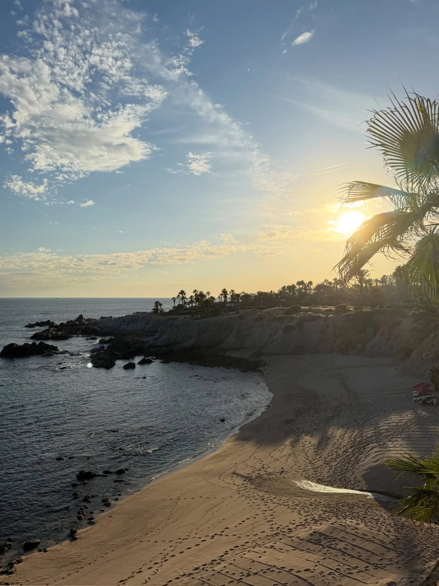 The Hald&rsquo;s know how to throw a party ☀️