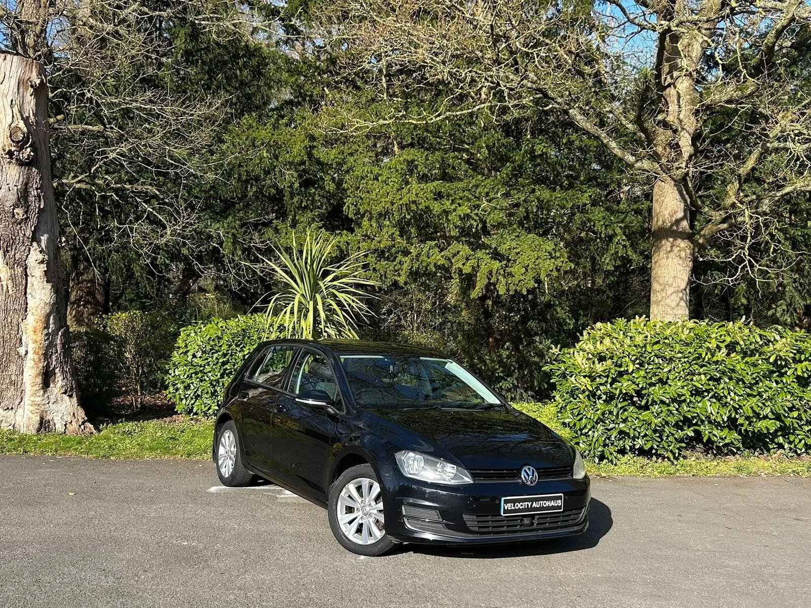 A black Volkswagen car parked on an asphalt surface in front of green bushes and trees with bare branches, under a clear blue sky.