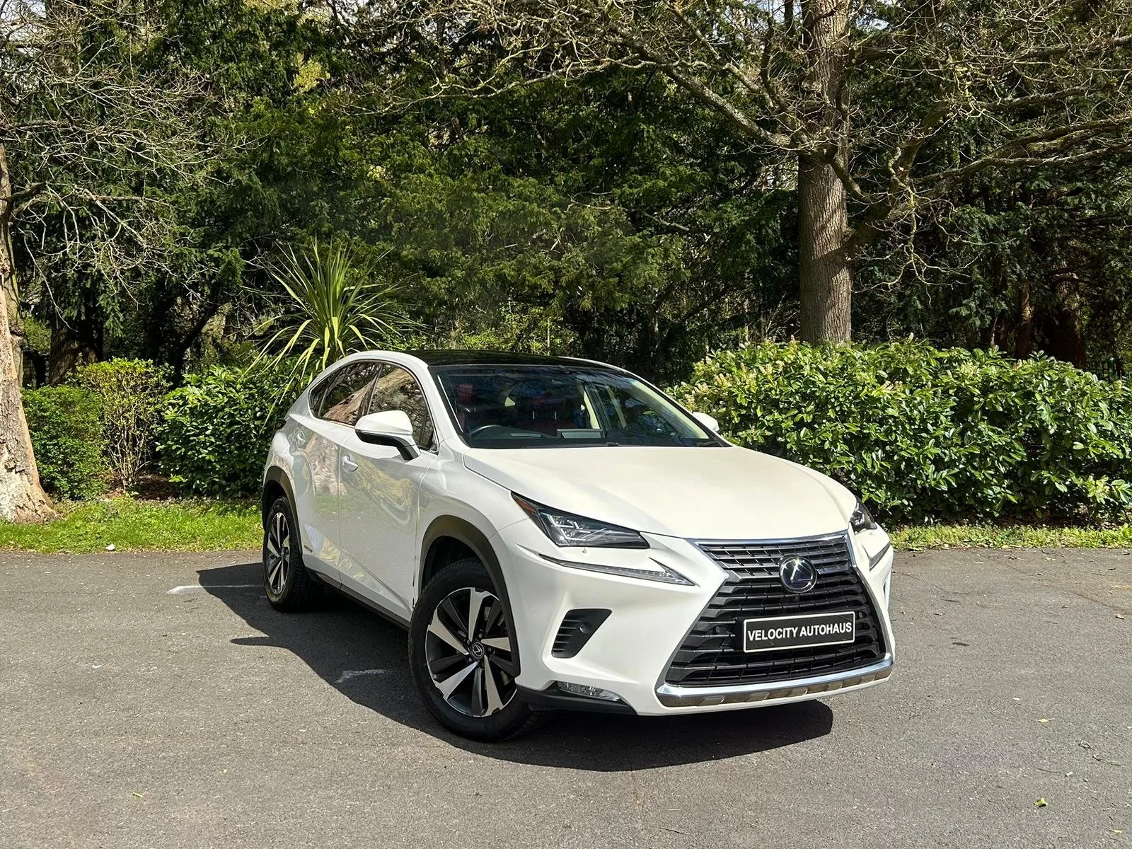 A white Lexus SUV parked on an asphalt surface with green foliage and trees in the background.