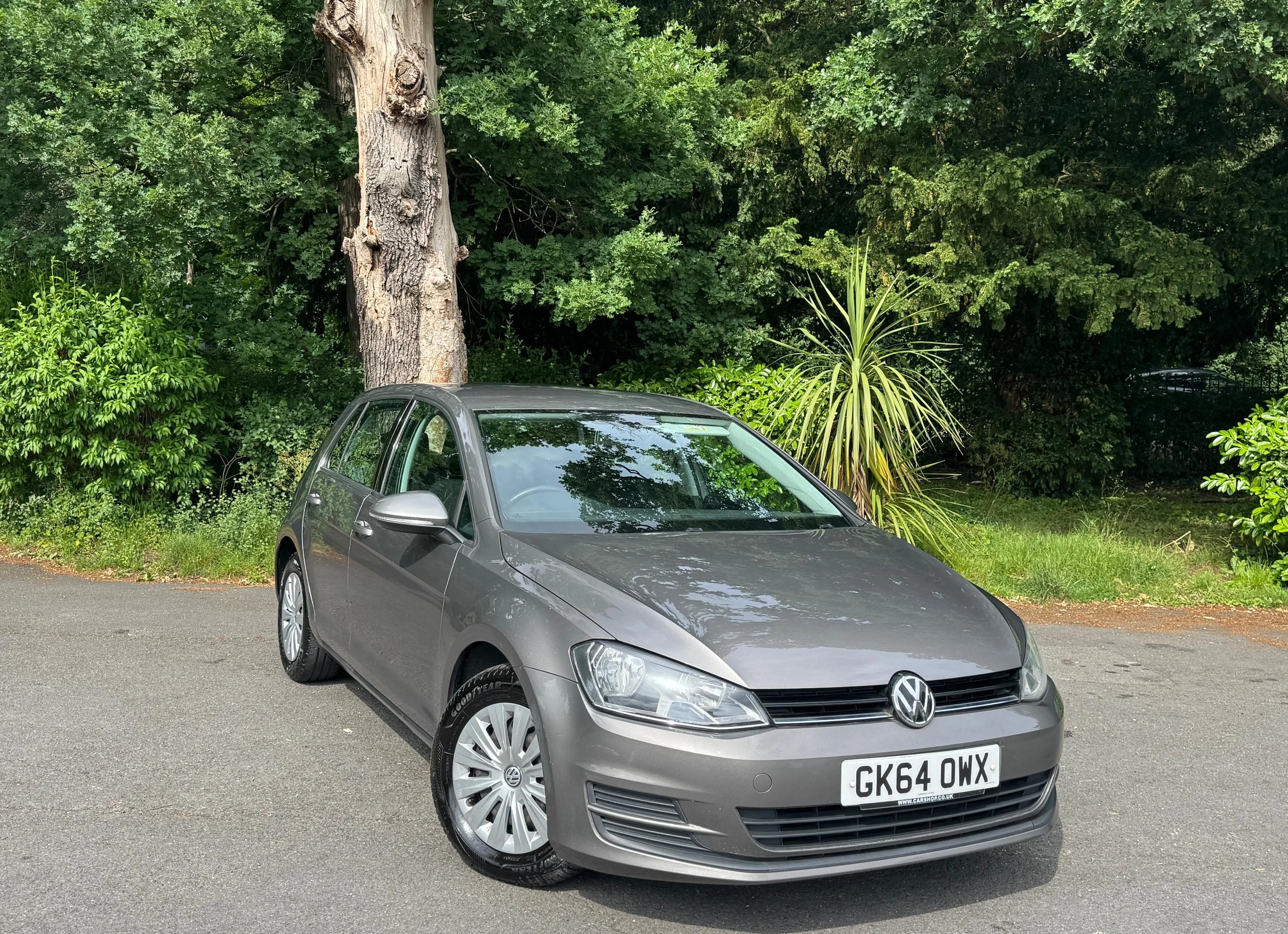 A gray Volkswagen hatchback parked on a paved surface in front of green bushes and trees, with a large tree trunk to the left and a spiky plant to the right.