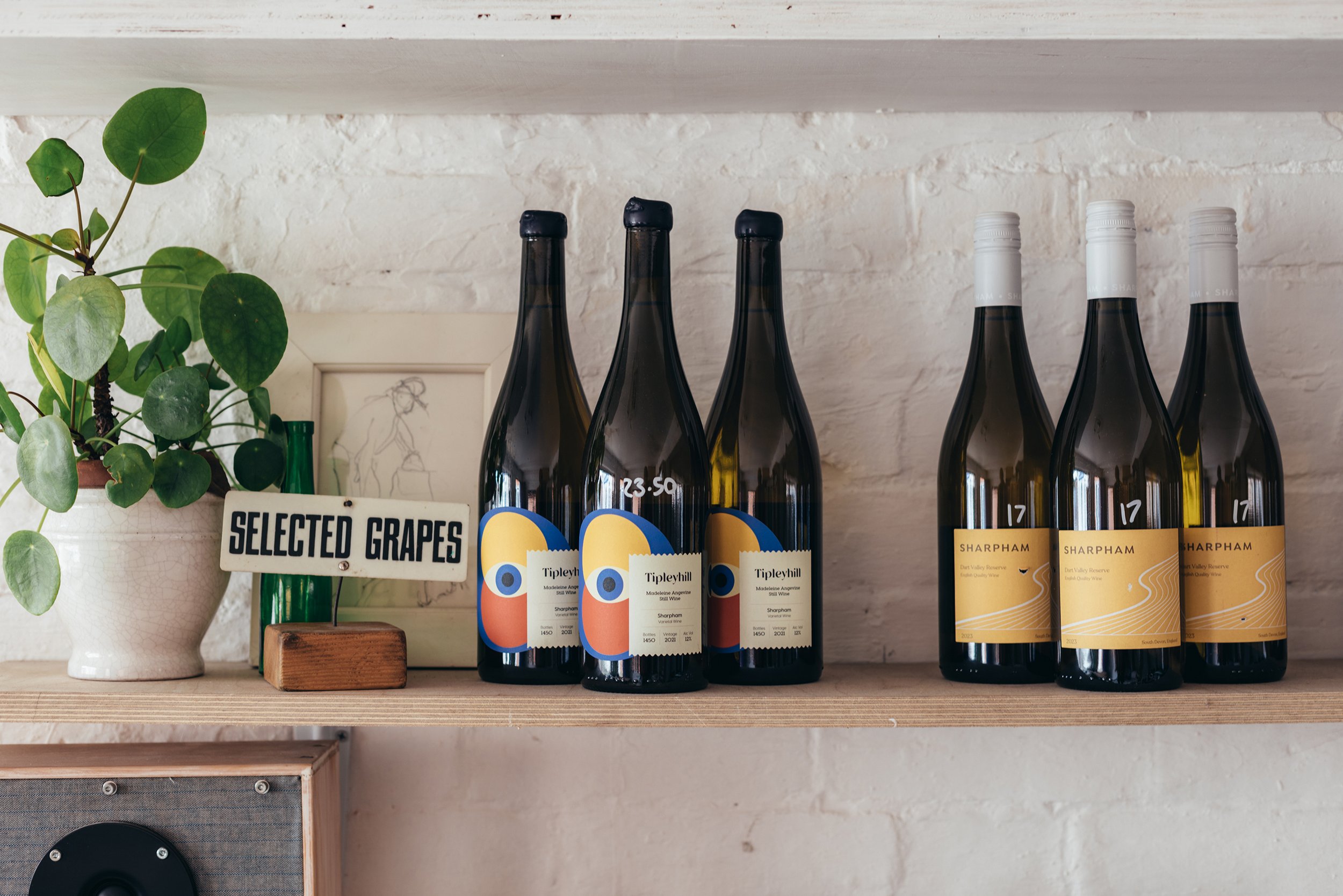 Selected Grapes-17.jpg