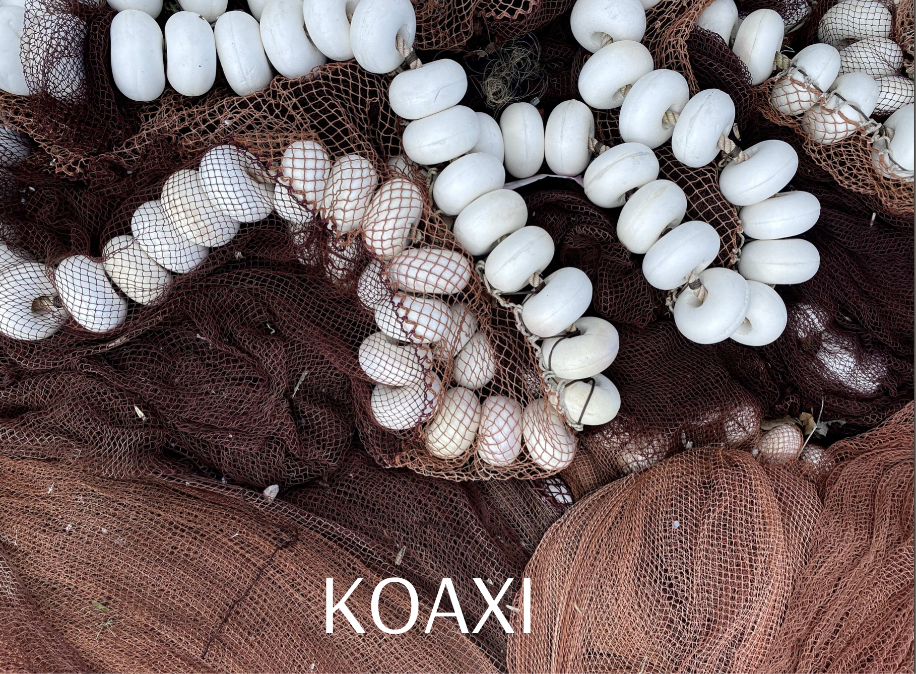 proyecto cinematografico guion