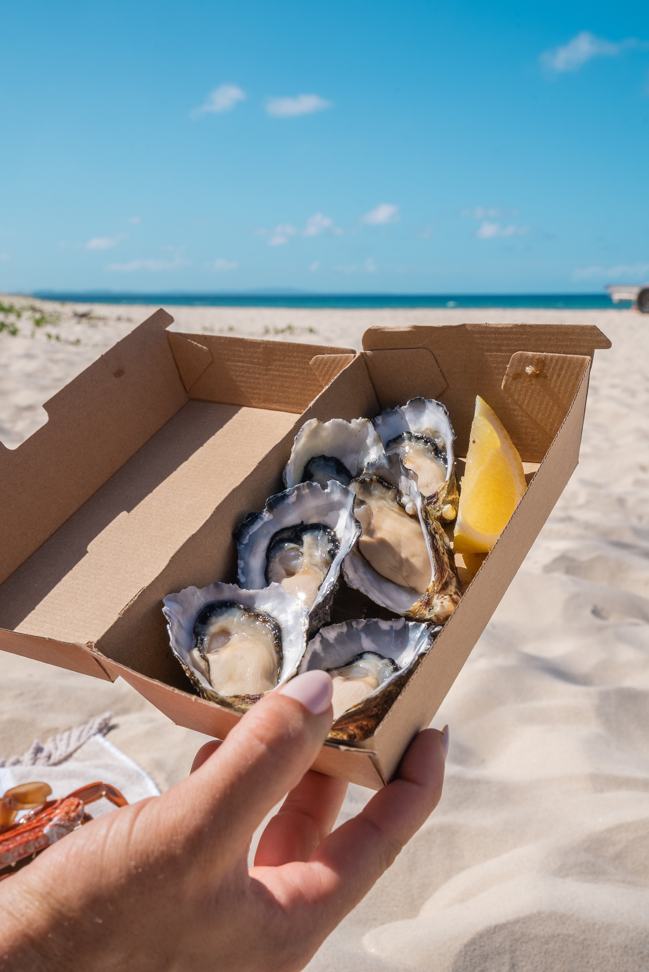 Freshly Shucked Pacific Oysters