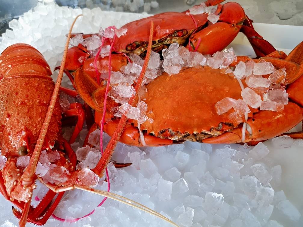 Cooked Mud Crabs
