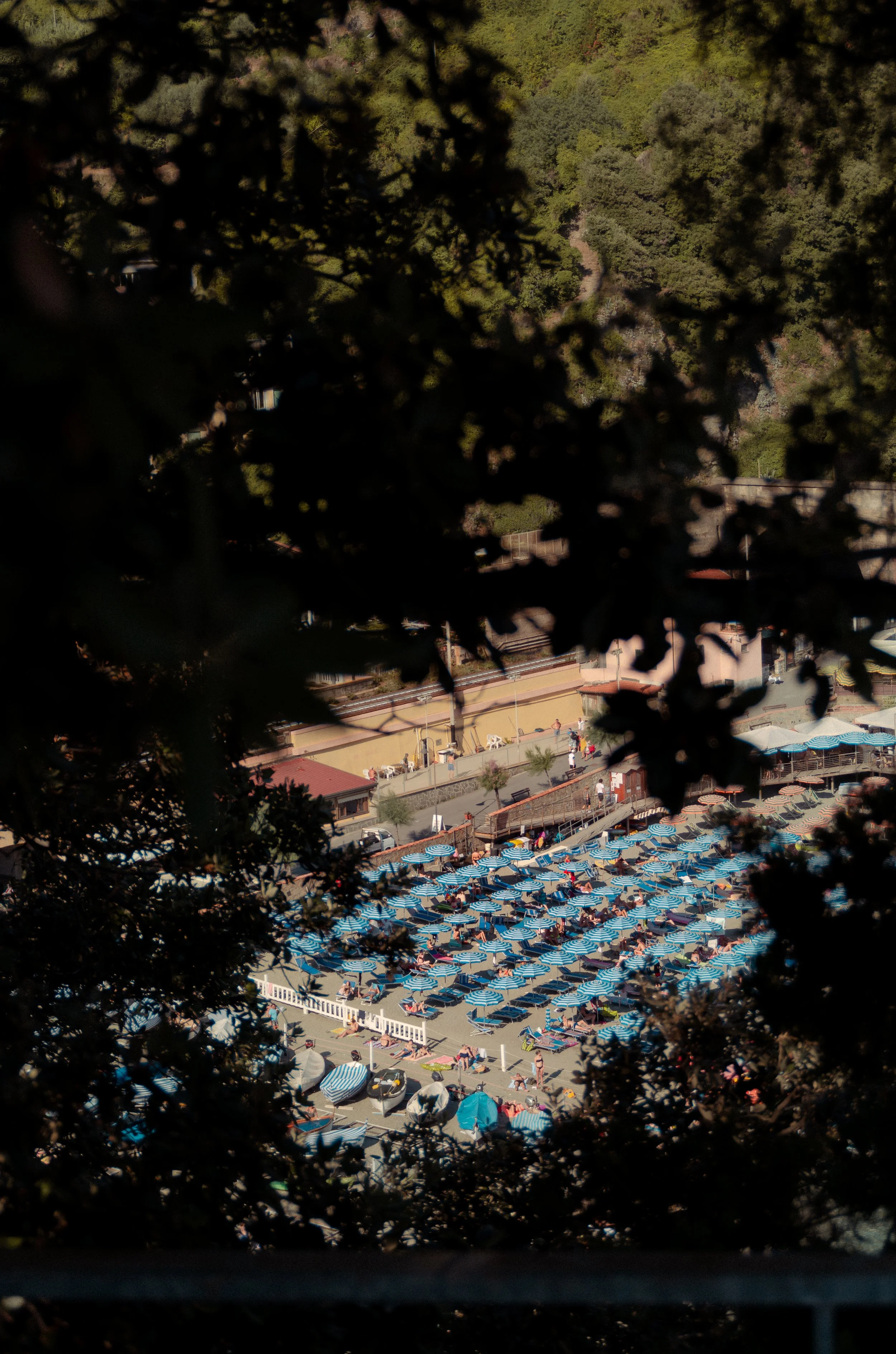 Aerial view of a beach with blue umbrellas partially obscured by trees.