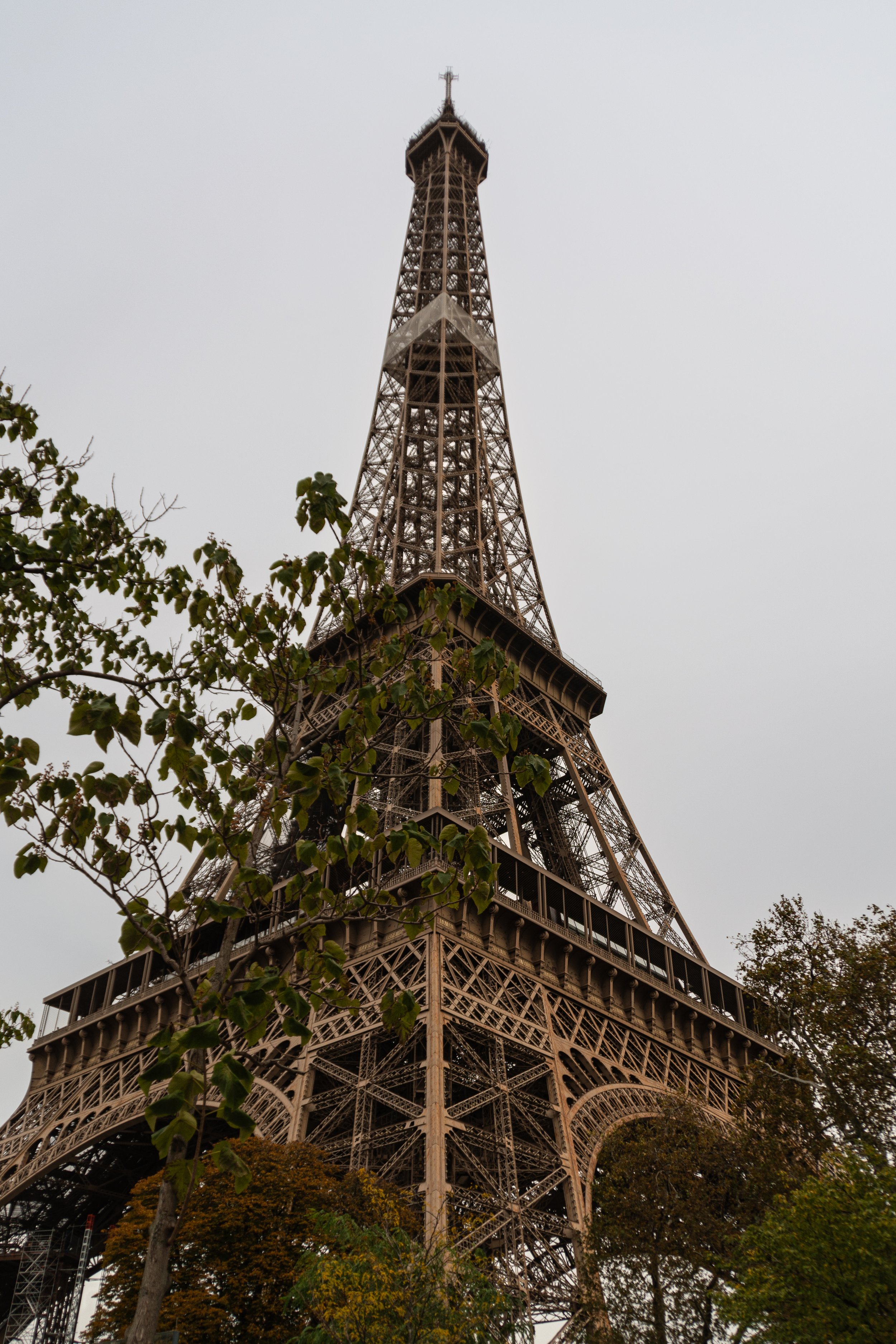 Eiffel Tower with trees in foreground, cloudy sky