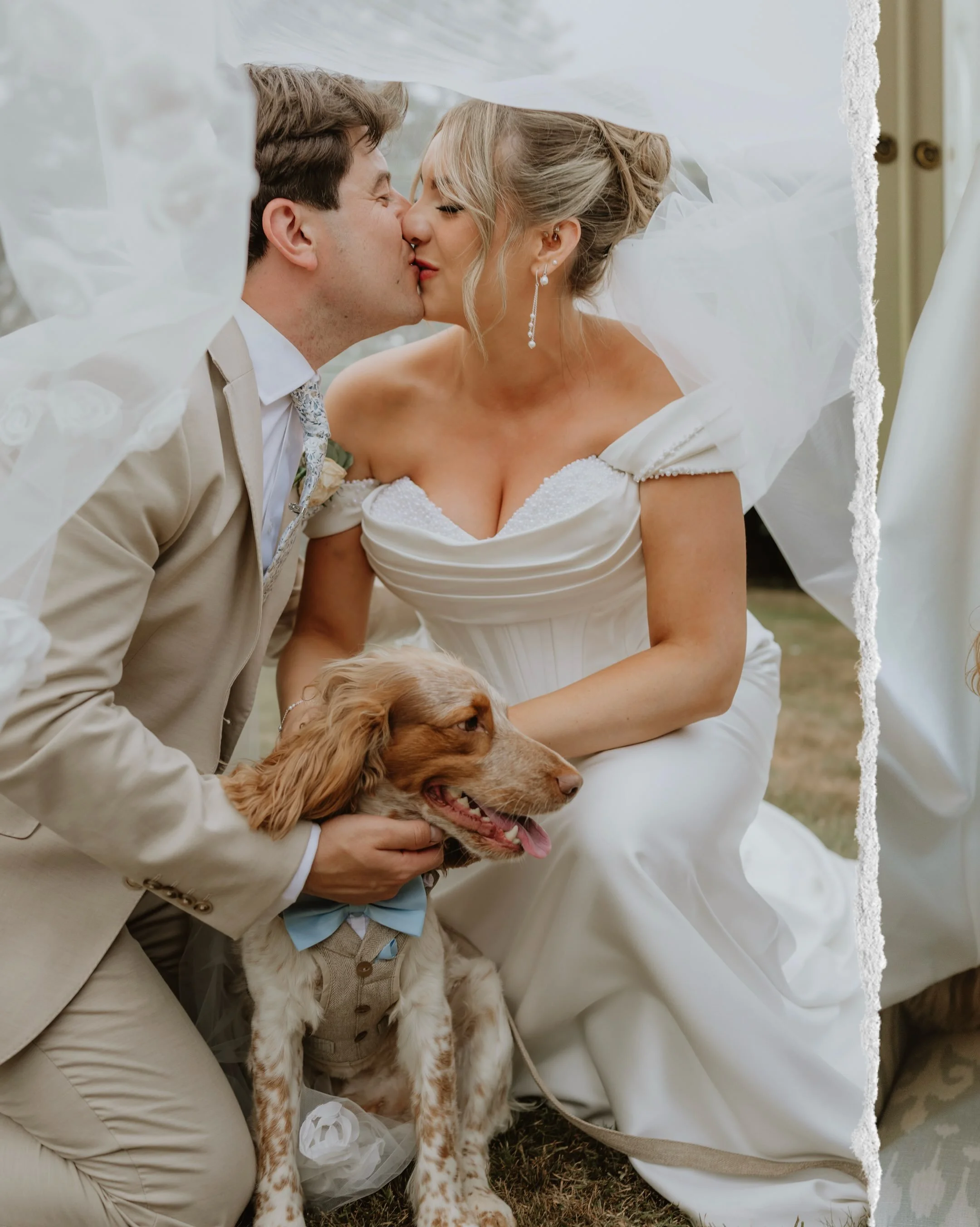 Congratulations Charley &amp; Ryan! 
Thrice&hellip; in fact. With a legal ceremony, big celebration AND new arrival on the way 💖 what a time you had!

Featuring: 
@thursfordgardenpavilion 
@ginger_lily_catering 
@kittvideoproduction 
@andsocialcreat