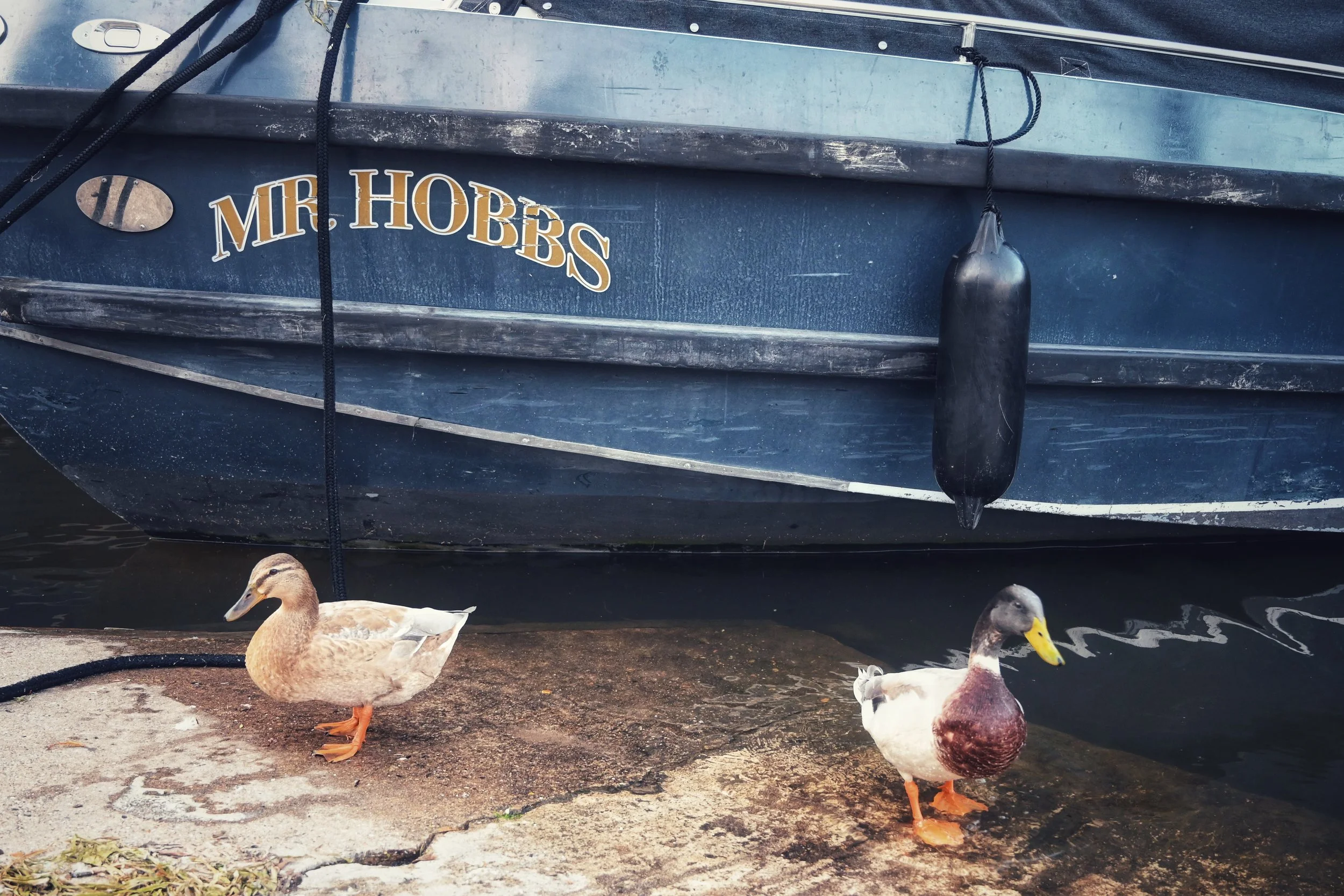 Photo 22-09-2023, 18 37 06.JPG