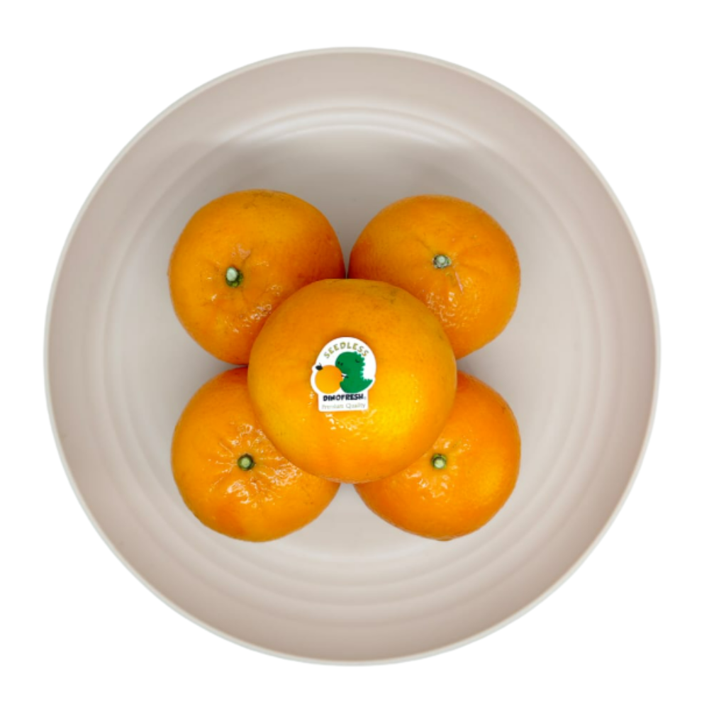 Jeruk Citrus Burst