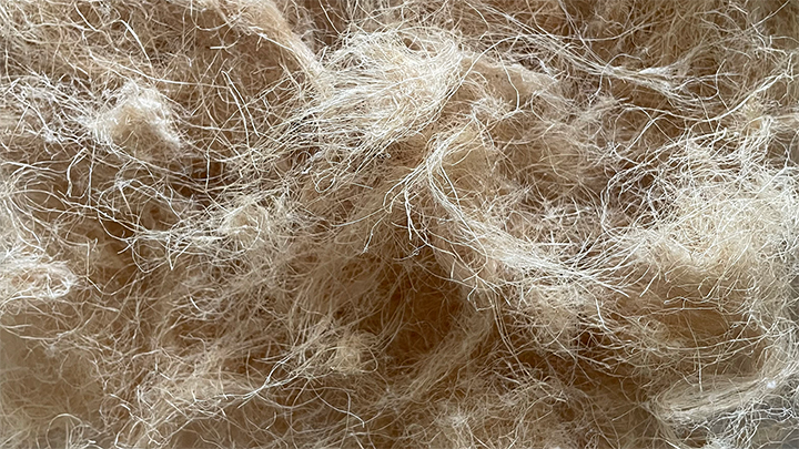 2024-Aegis-fibres-S.png