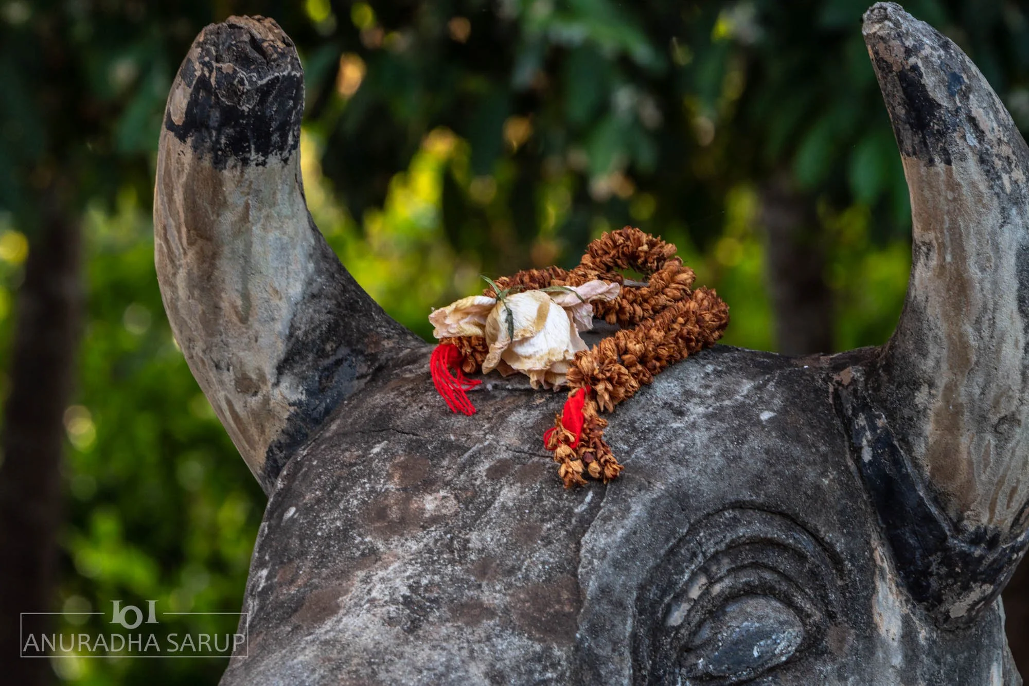 20181218-Cambodia-802.jpg
