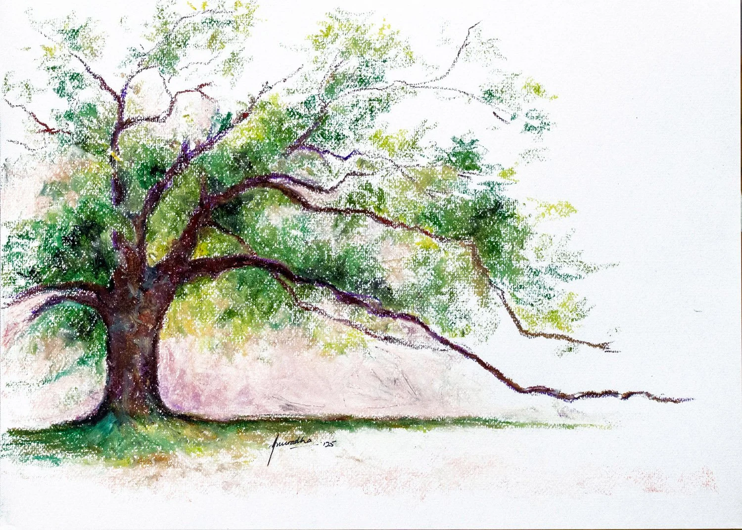 Leoben: Tree Portraits