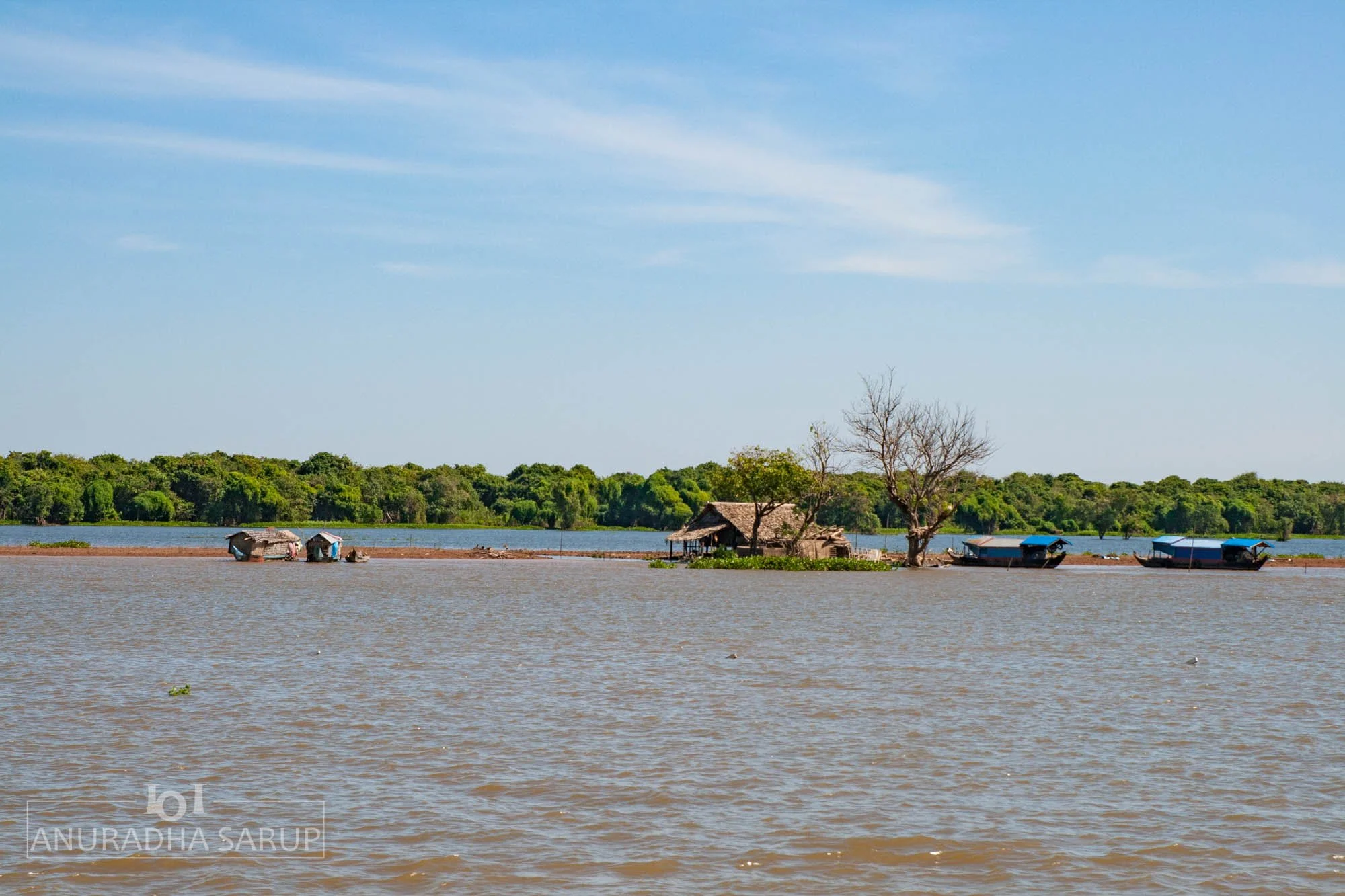 River Ferry_20121224_0040.jpg