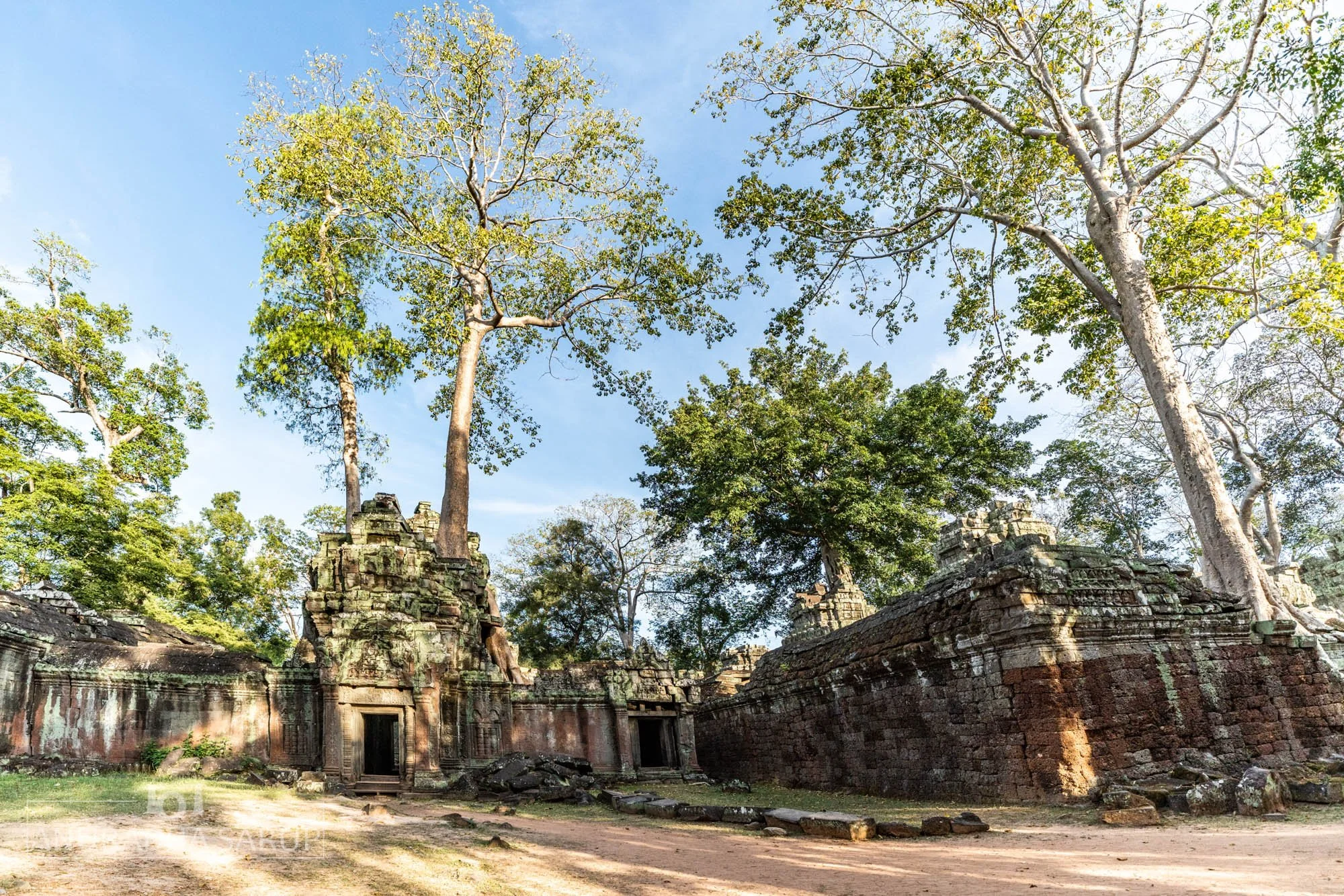 20181218-Cambodia-039-Bearbeitet.jpg