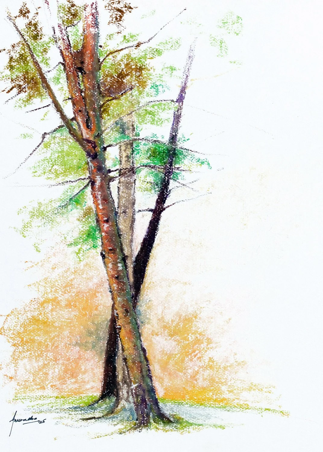 Three in a row, Stadtpark
Size 30x40 cms. Oil Pastel on paper.