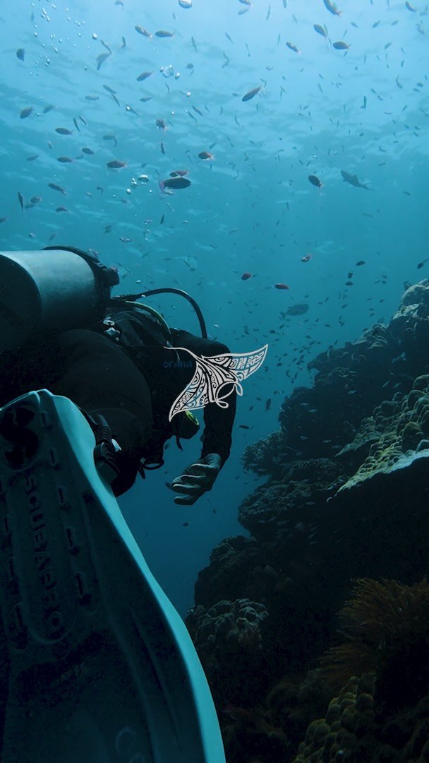During our time in Bali, we had the pleasure of partnering with @oranadive.bali to create a cinematic brand video that blends the spirit of Bali with the essence of the Orana experience.
A project that reflects both adventure and tranquility-just lik