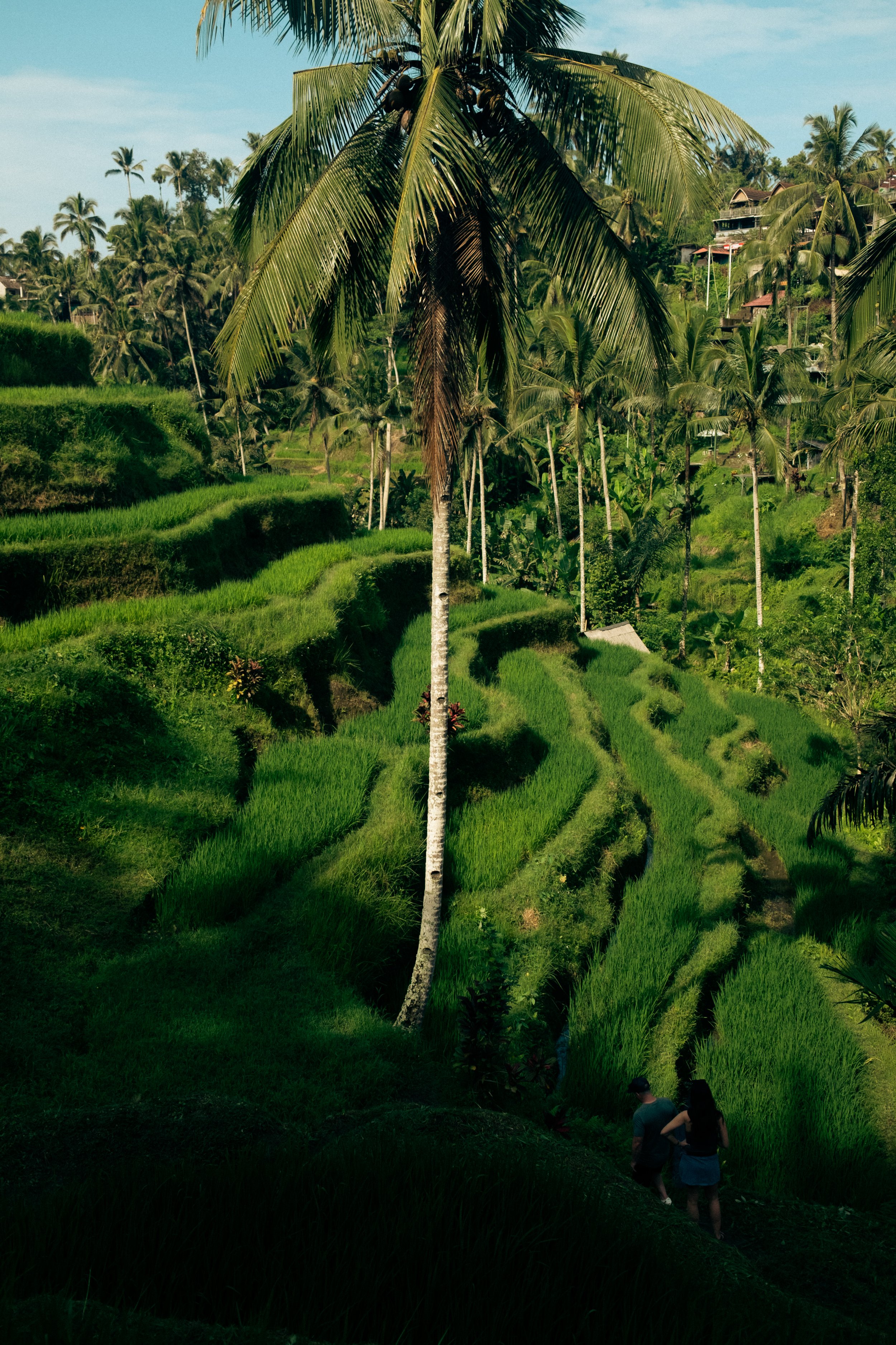 Ubud Day-22.jpg