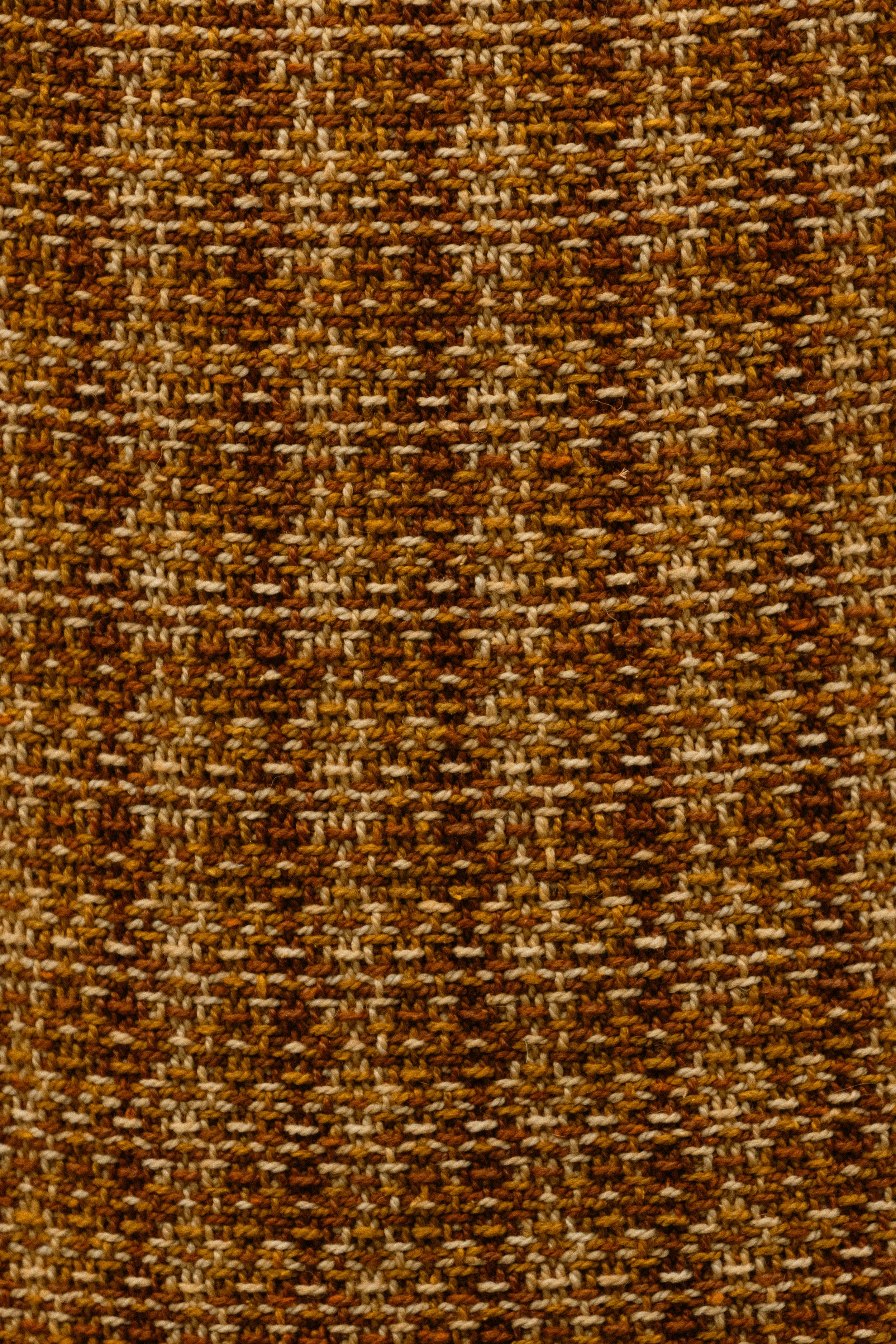 0M0A4956.jpg