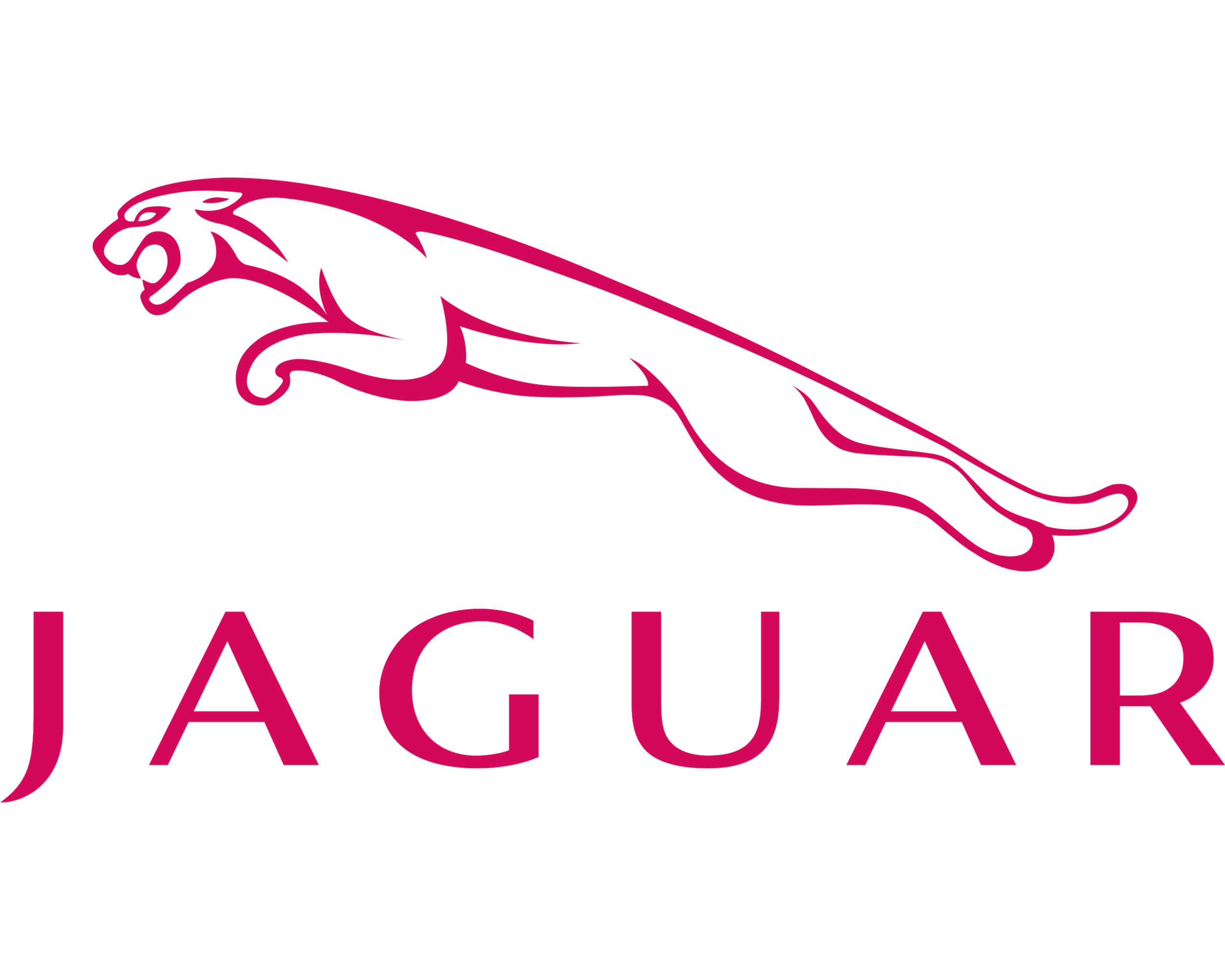 Agile coach and SCRUM master for a global automotive brand