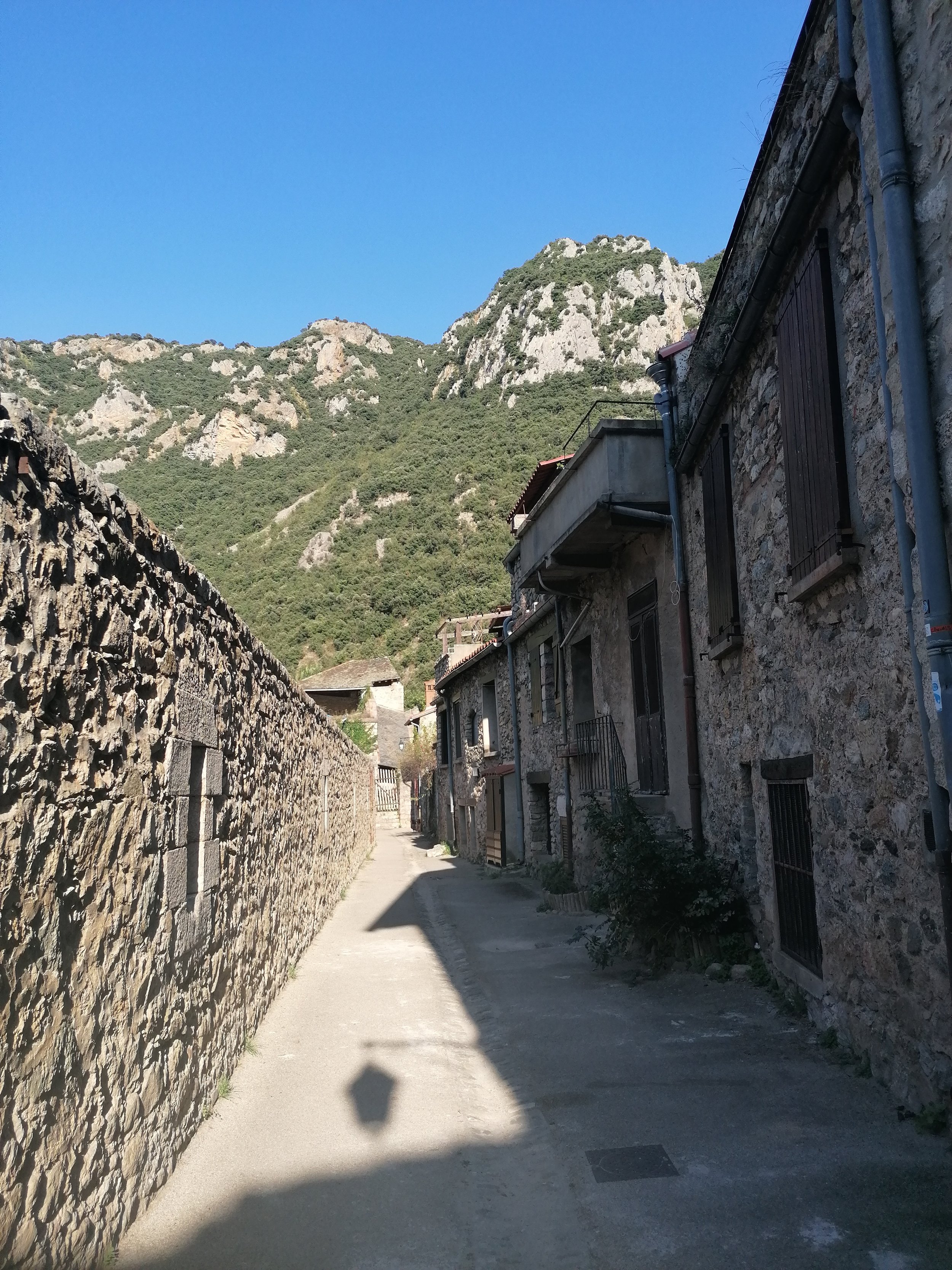 IMG_20200822_181715.jpeg