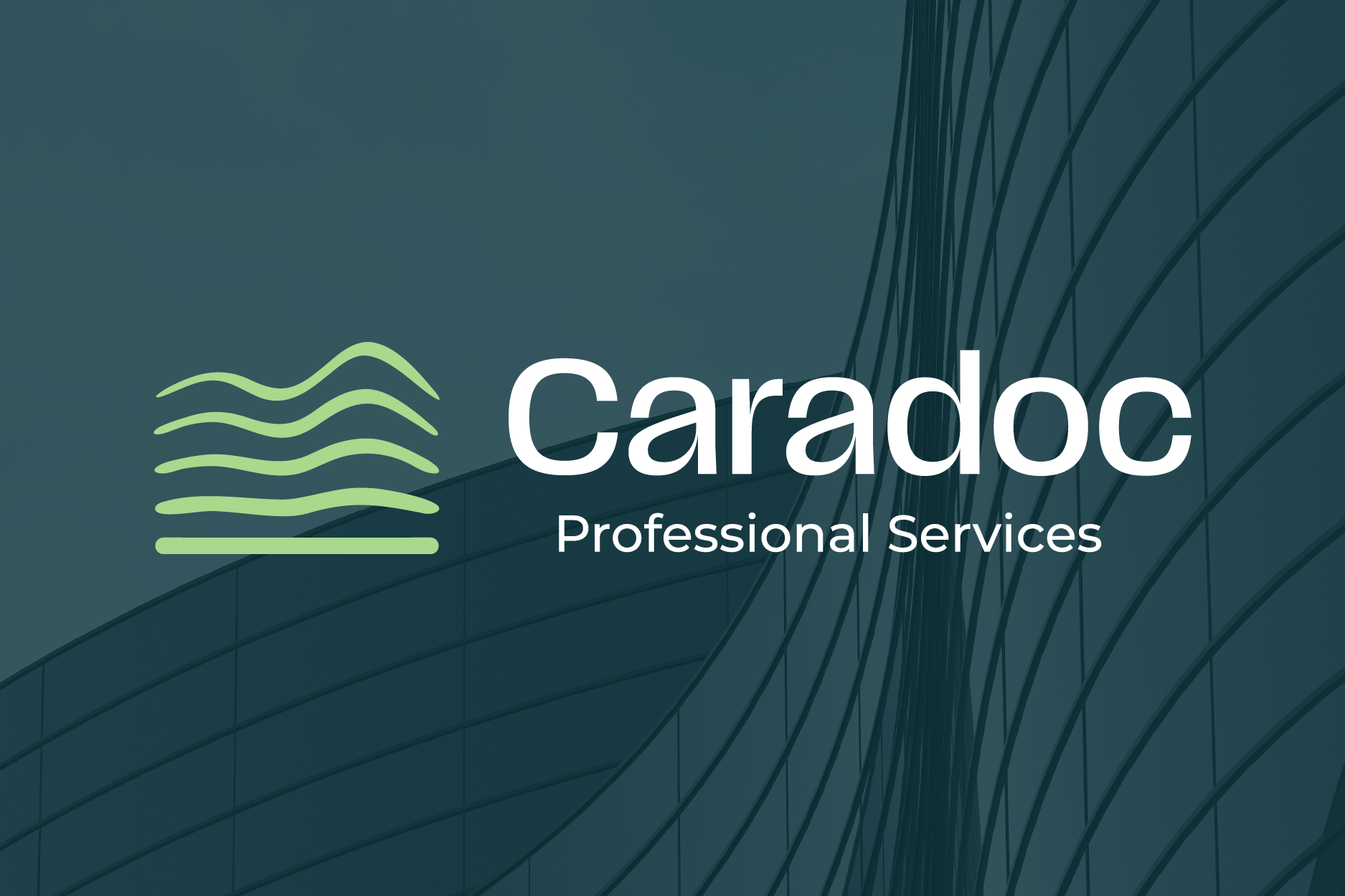 Recent projects cats-04.png