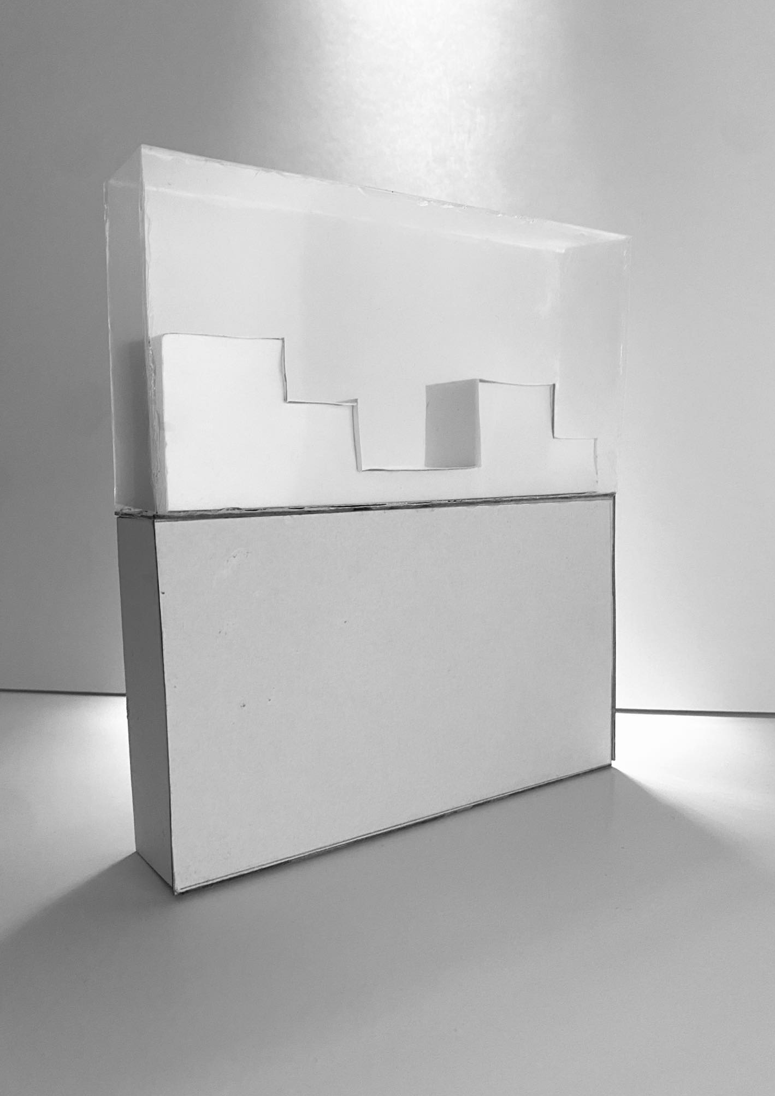 portrait vitrine image.png
