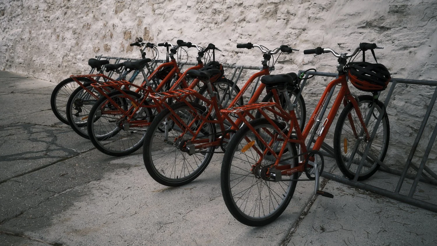 DSCF1547.jpg