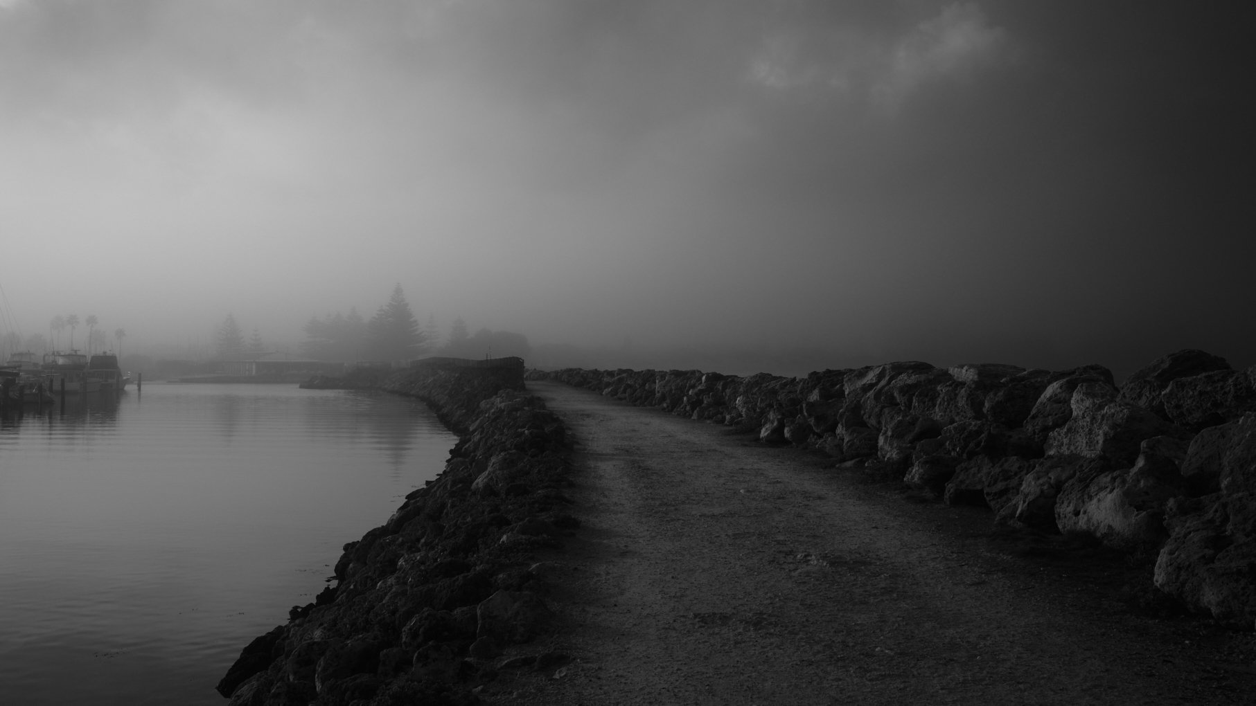 Winter Stillness_open_230.jpg