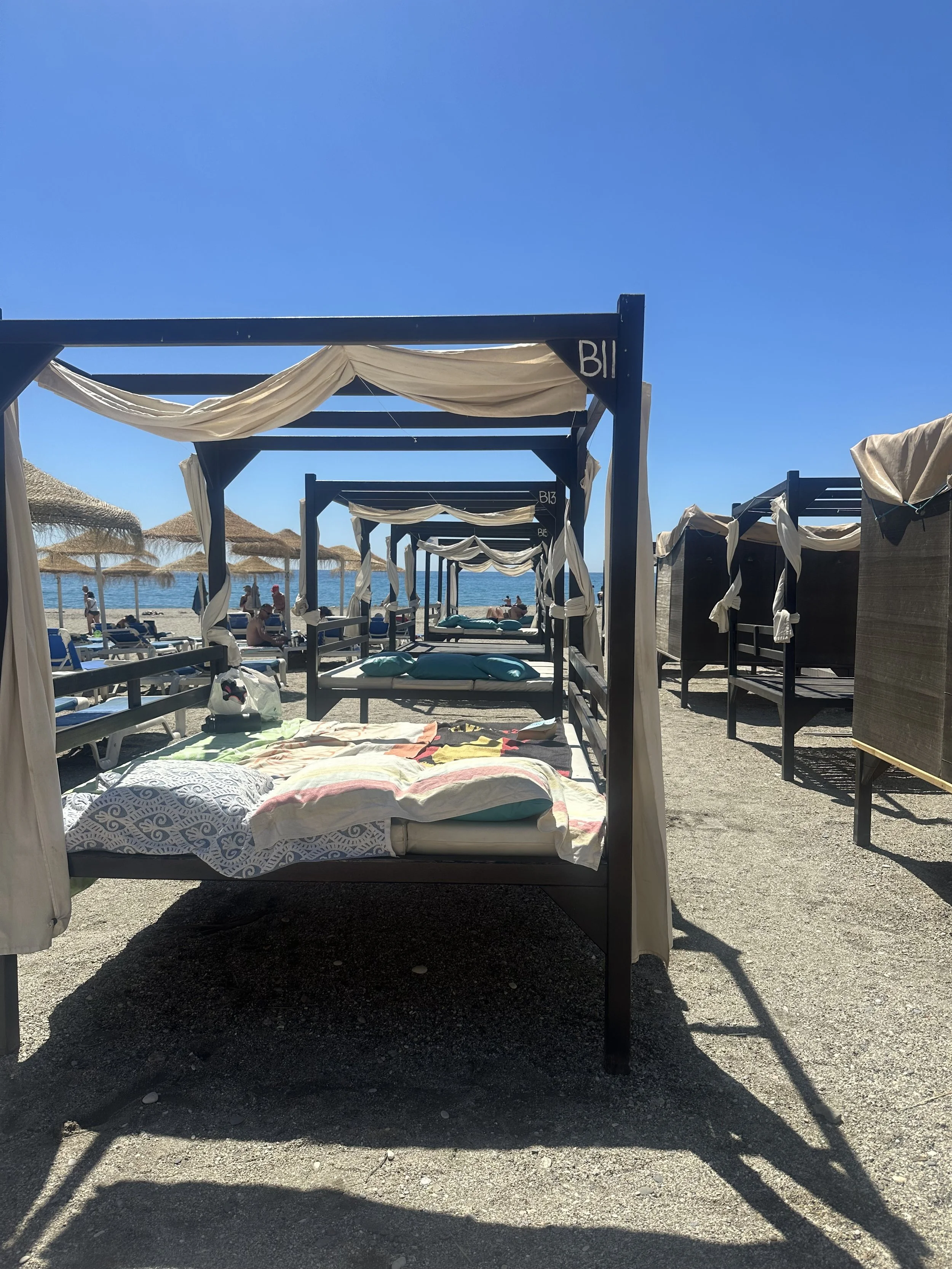 IMG_2308.jpeg