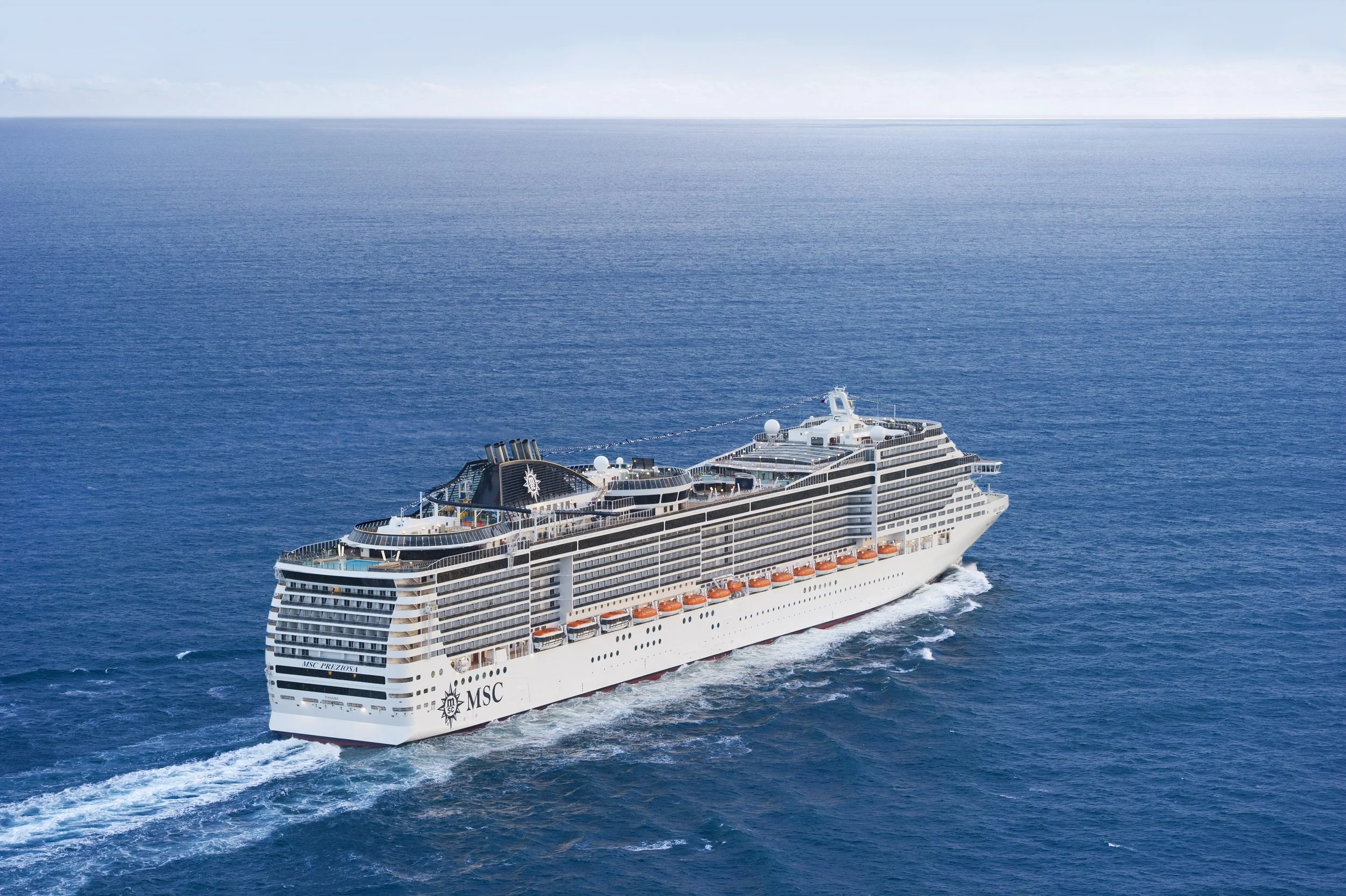MSC13014815.jpg