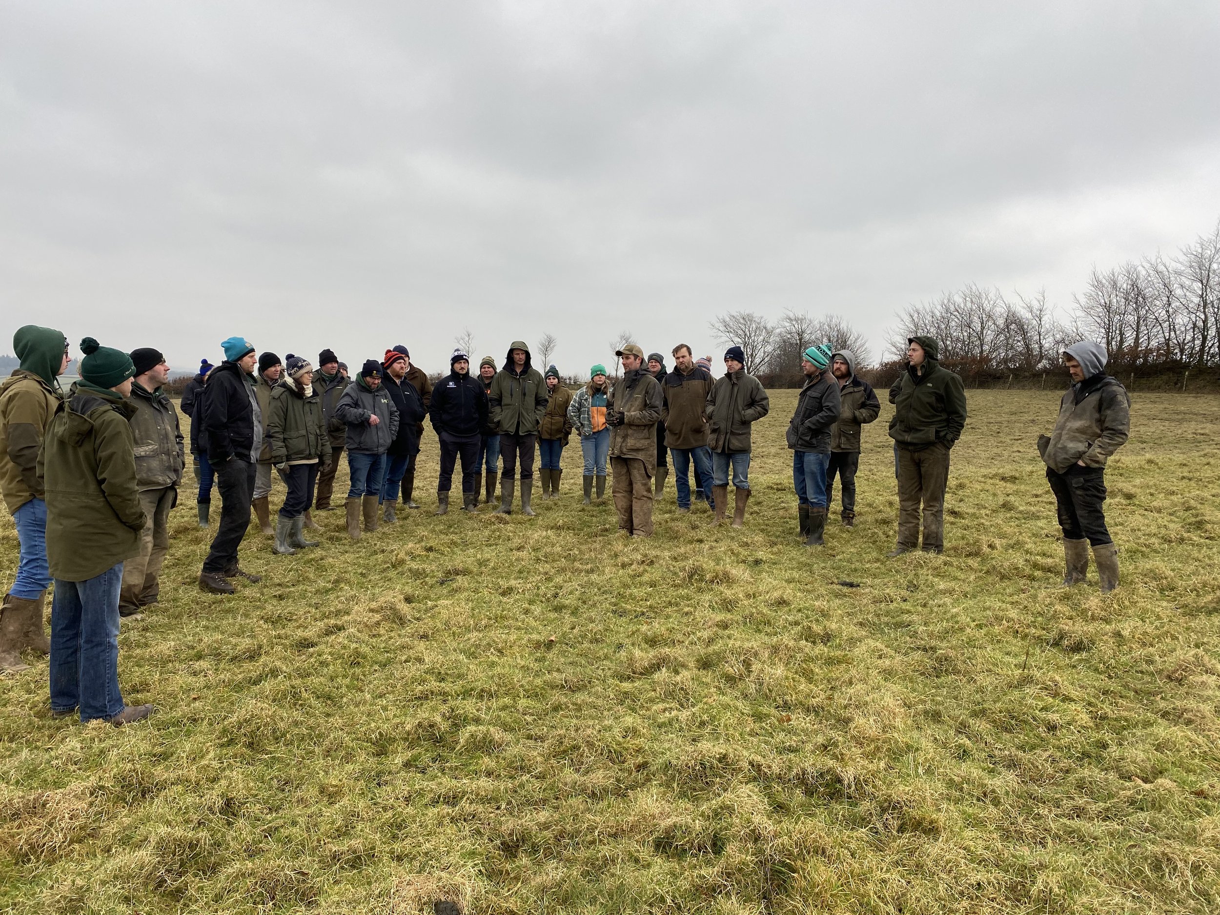 Discussion Group in Grass Field.jpg