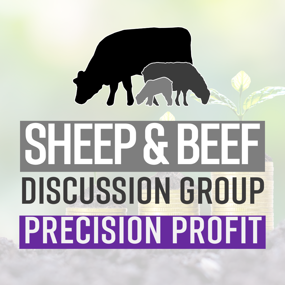 Silhouettes of a cow, sheep, and beef cattle above the text "Sheep & Beef Discussion Group" with "Precision Profit" highlighted in purple below, set against a blurred background of plant leaves and stacked coins.