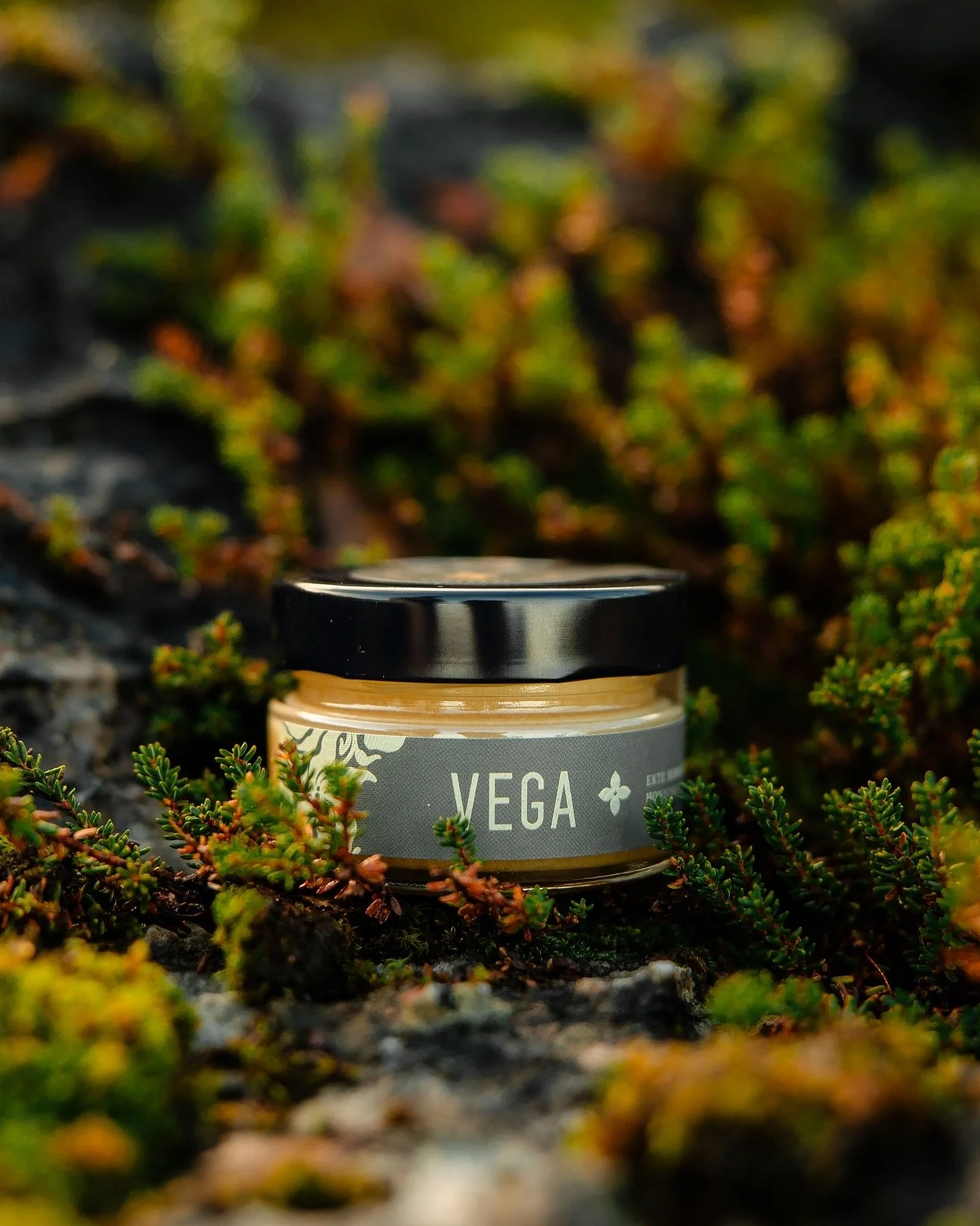 Sjekk de fine bildene etter helgens fotoshoot med @dontbenegativefoto 🤩

Vi kommer til Verdensarvsenterets julemarked den 23.november. I mellomtiden finner du &aring;rets honning fra Vega hos @stavsmarken og @handelsstedet_forvik 🐝