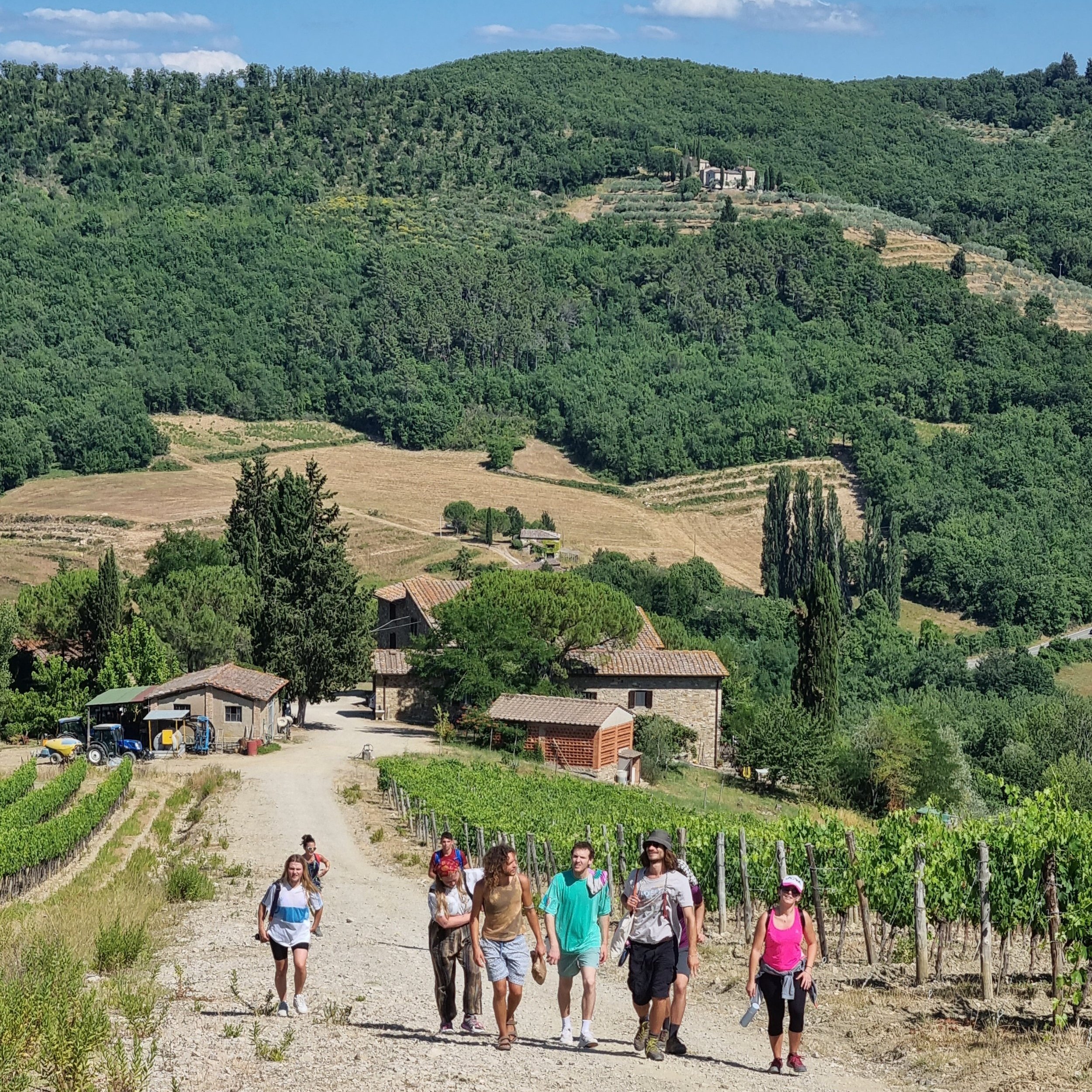 Gruppo di persone che camminano lungo un sentiero tra vigneti in una regione collinare con case e boschi sullo sfondo.