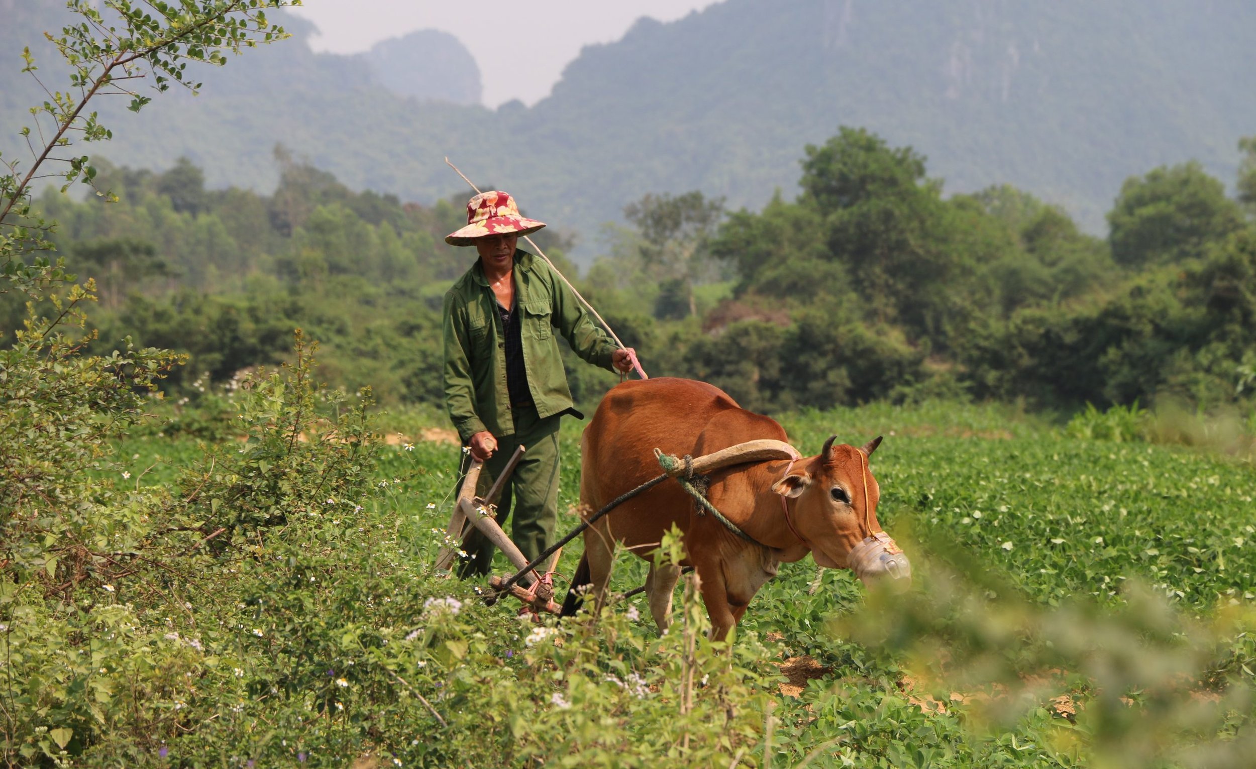 Le porte del Paradiso esistono e si trovano a pochi passi da Dong Hoi!